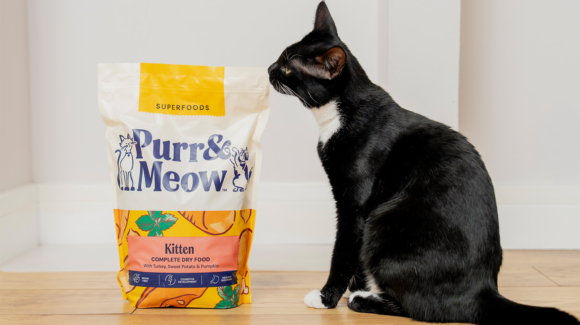 BLOG CAN KITTENS EAT ADULT CAT FOOD BODY IMAGE 1