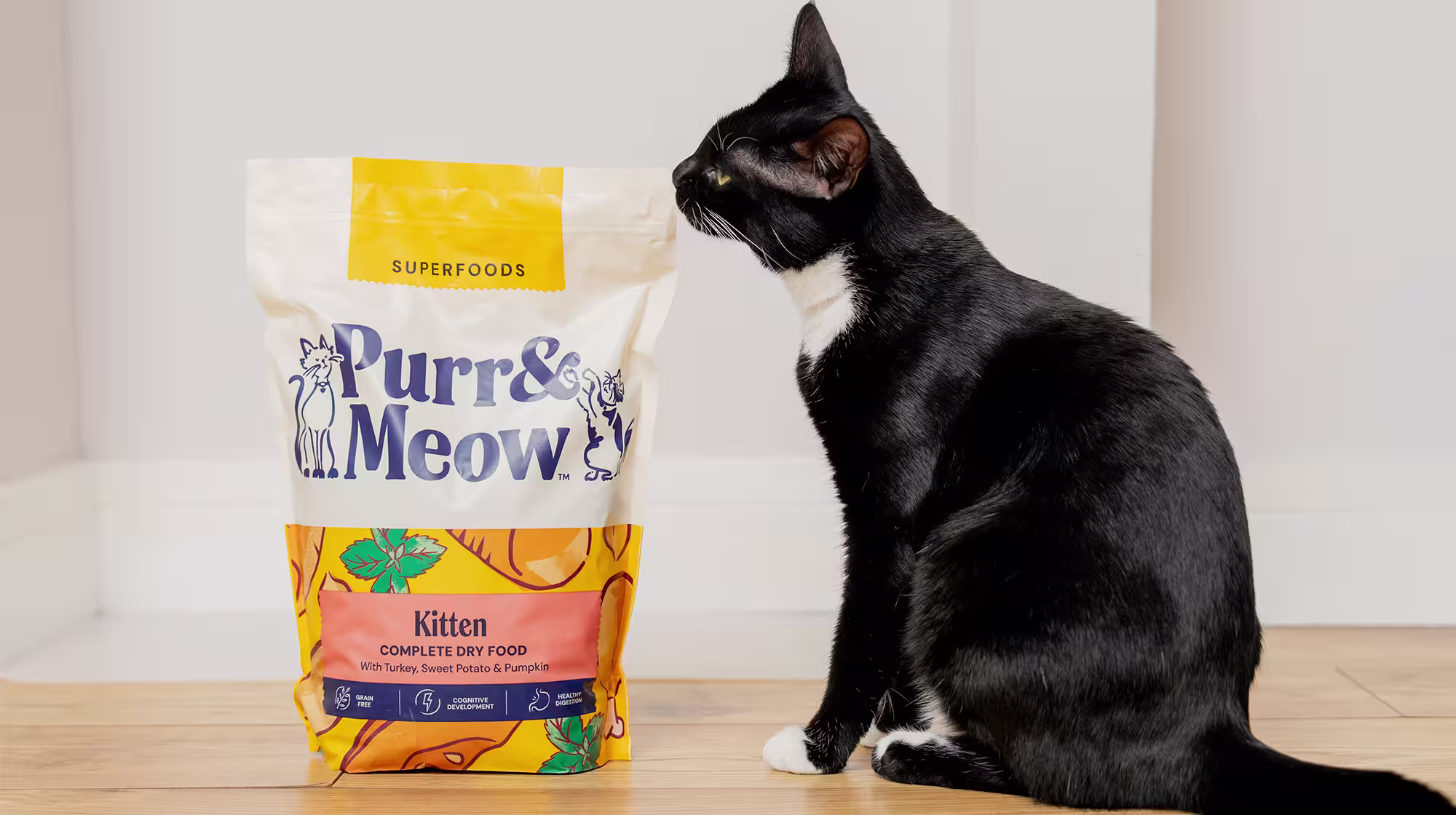 BLOG CAN KITTENS EAT ADULT CAT FOOD BODY IMAGE 1