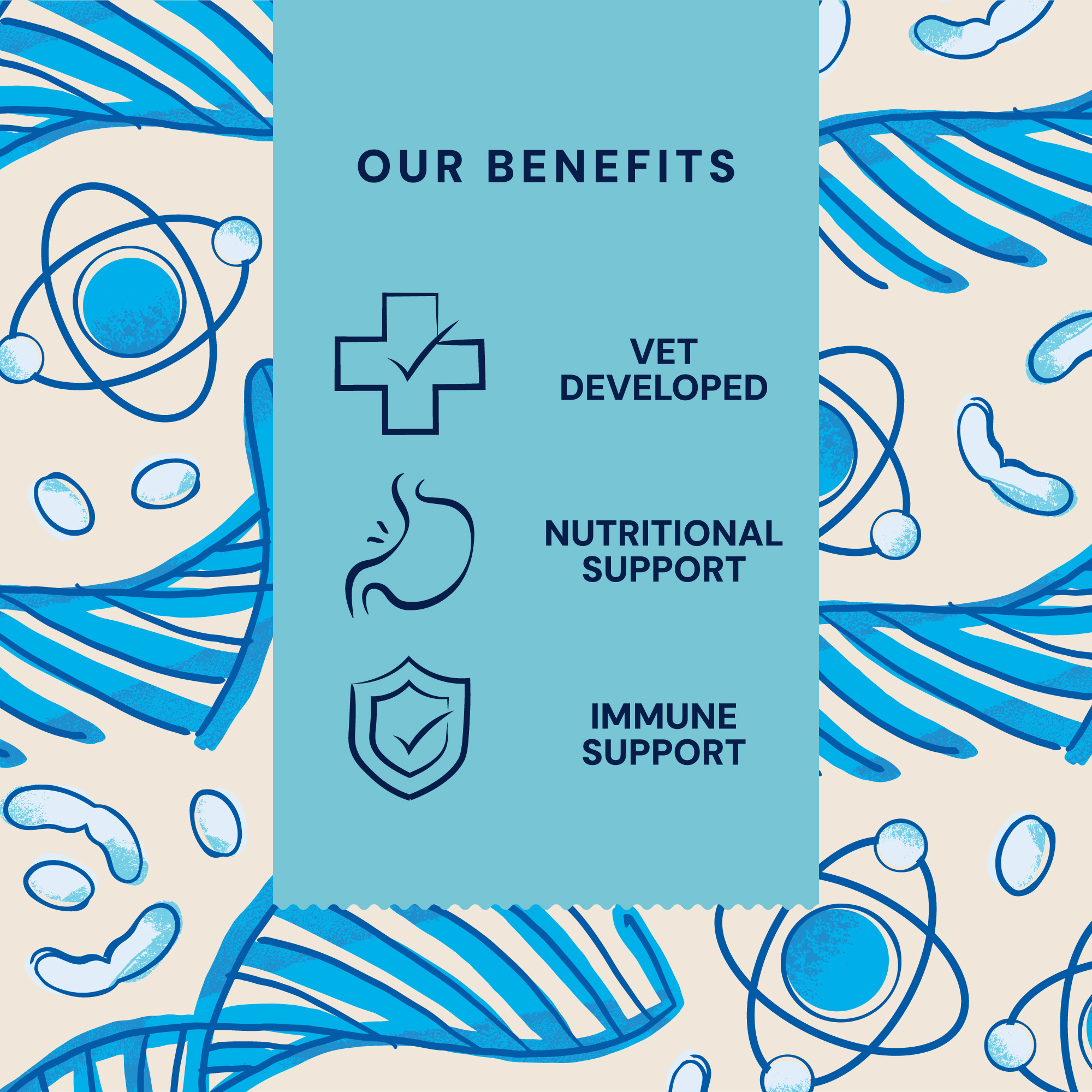 P&M BENEFIT-CARD SUPPLEMENTS VET MULTIVITAMIN-COMPLEX