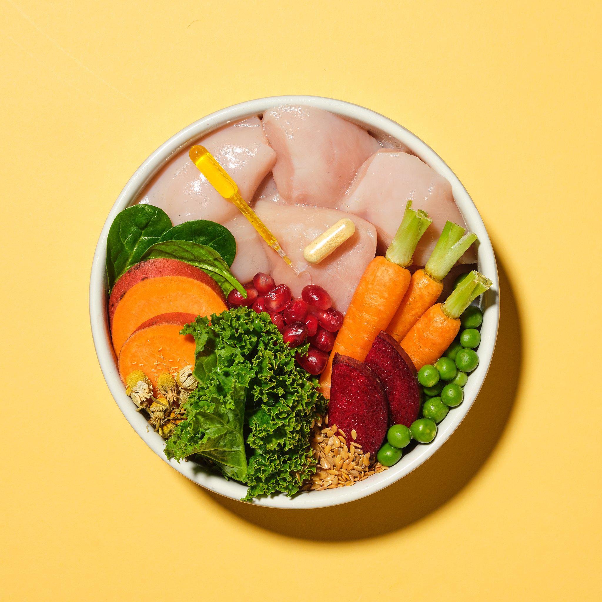 Small Dog Complete Superfood Clearance