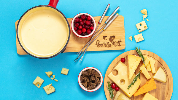 Should you feed your dog human food?-Image 1