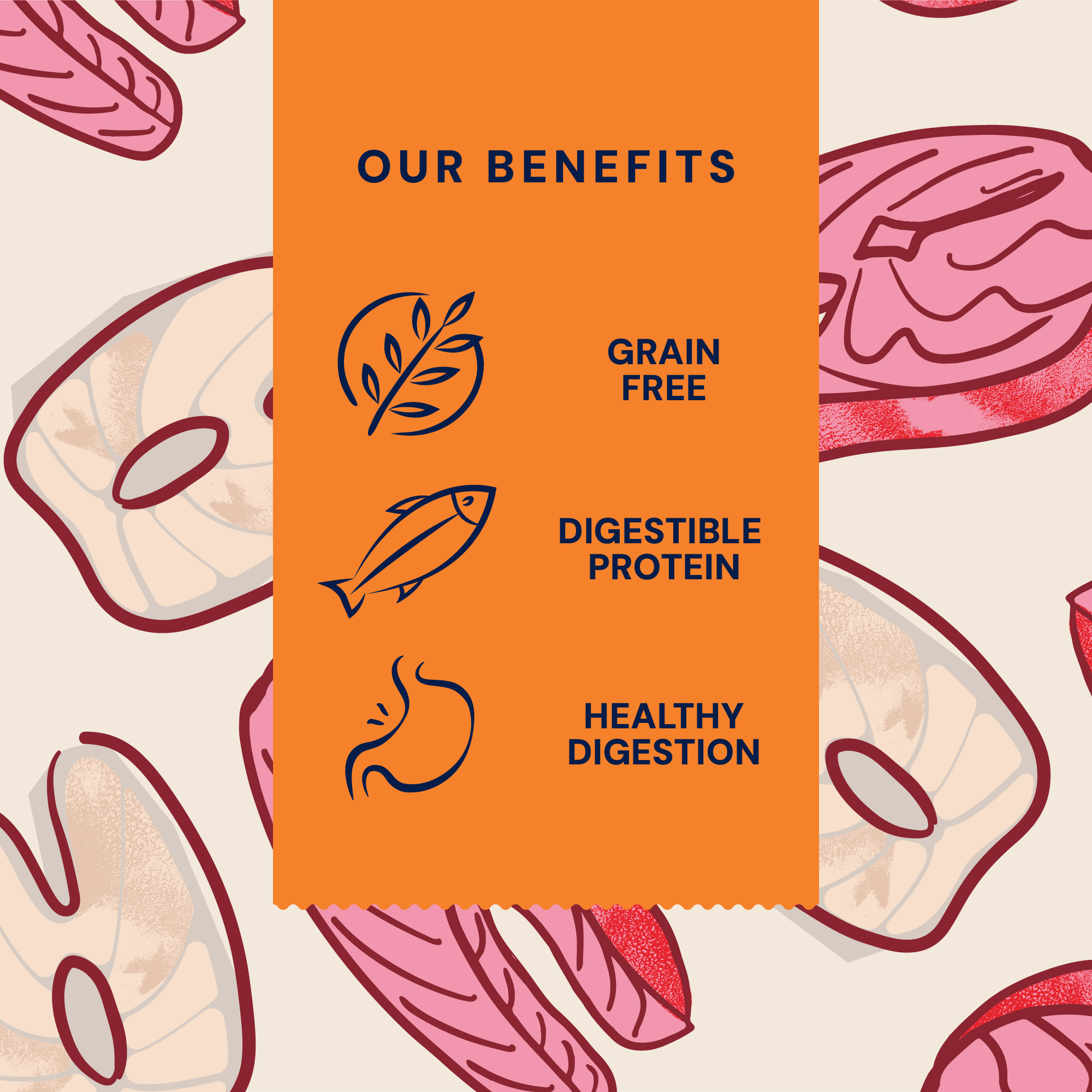 P&M BENEFIT CARD WET FOOD PRIMAL SALMON
