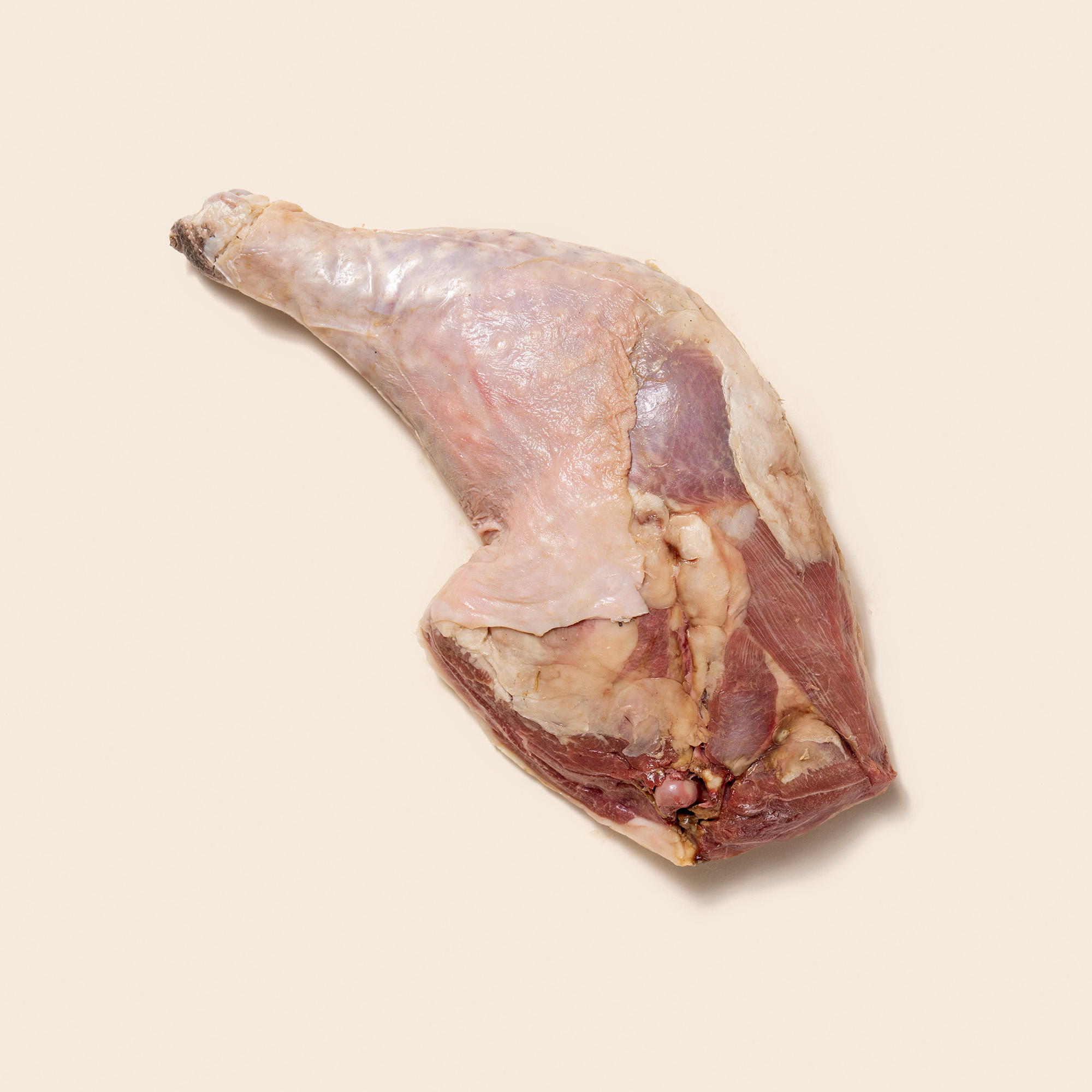 Goose
