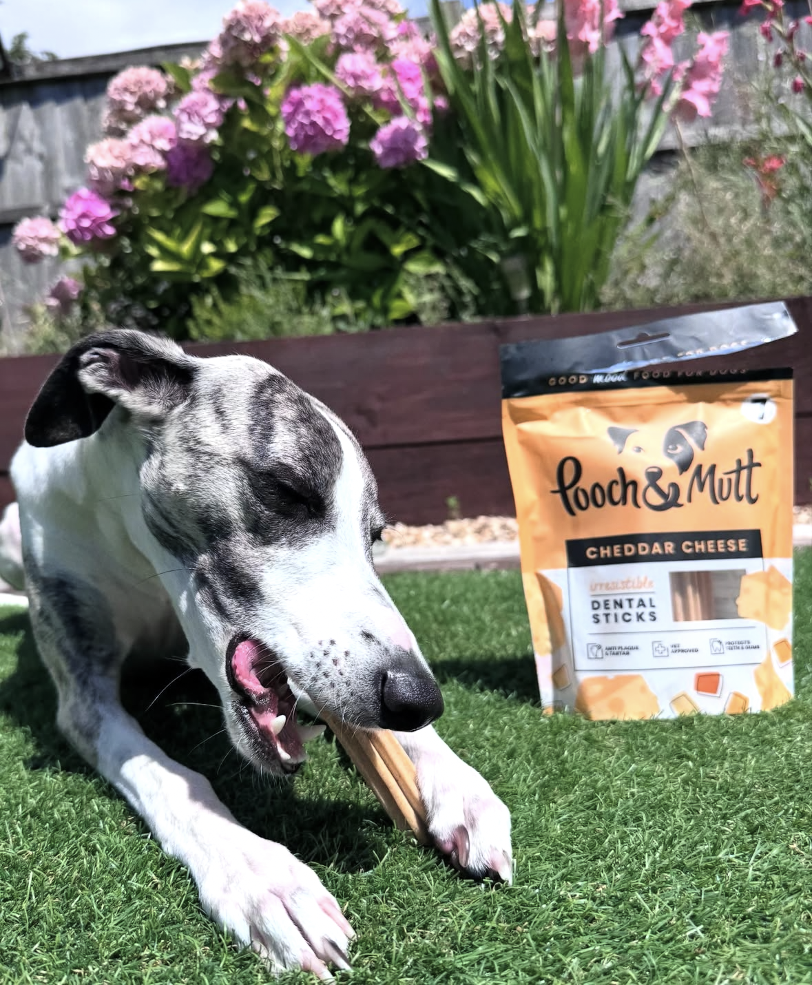 Screenshot 2026-03-09 at 10.01.56 - Chad Bichard