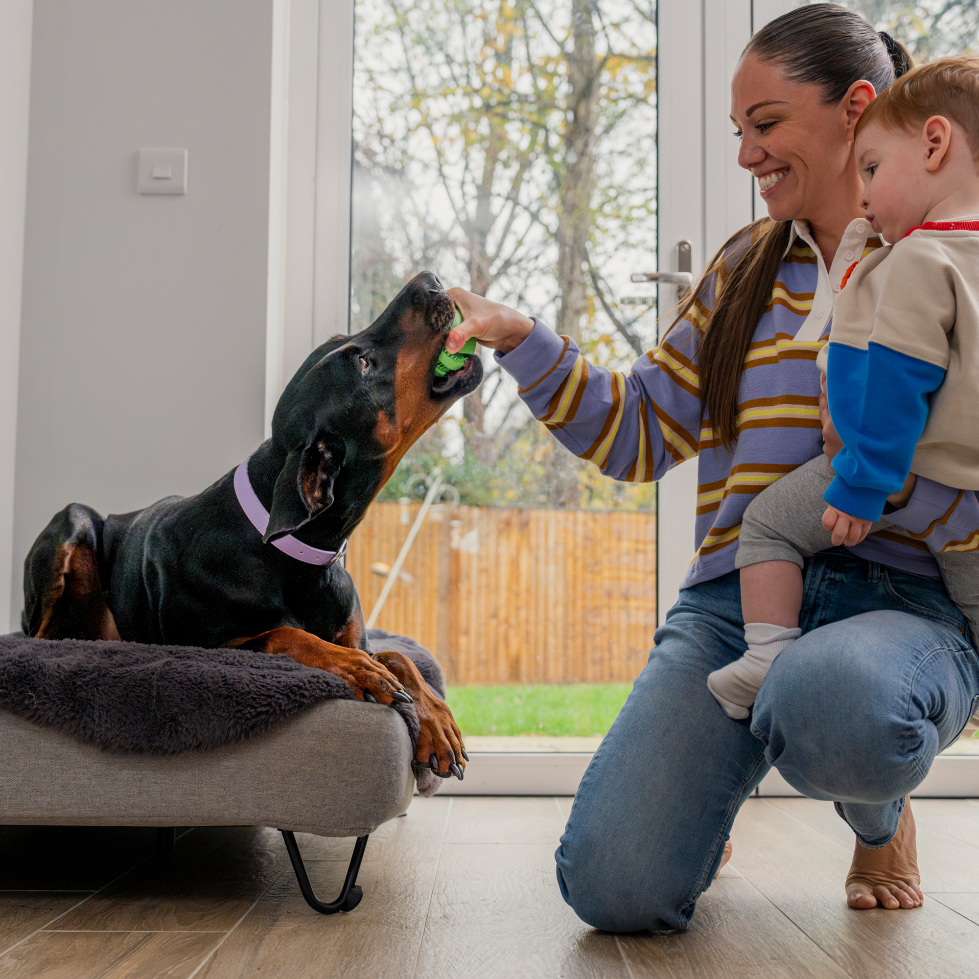 Treat Ball POOCHTREATBALL 1 lifestyle