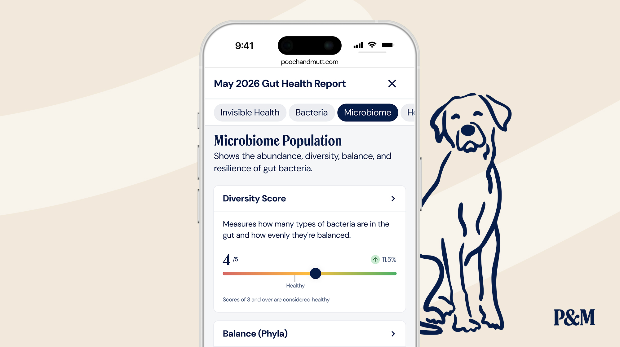 P&M BLOG INFOGRAPHIC GUT HEALTH TEST REPORT EXAMPLE 3
