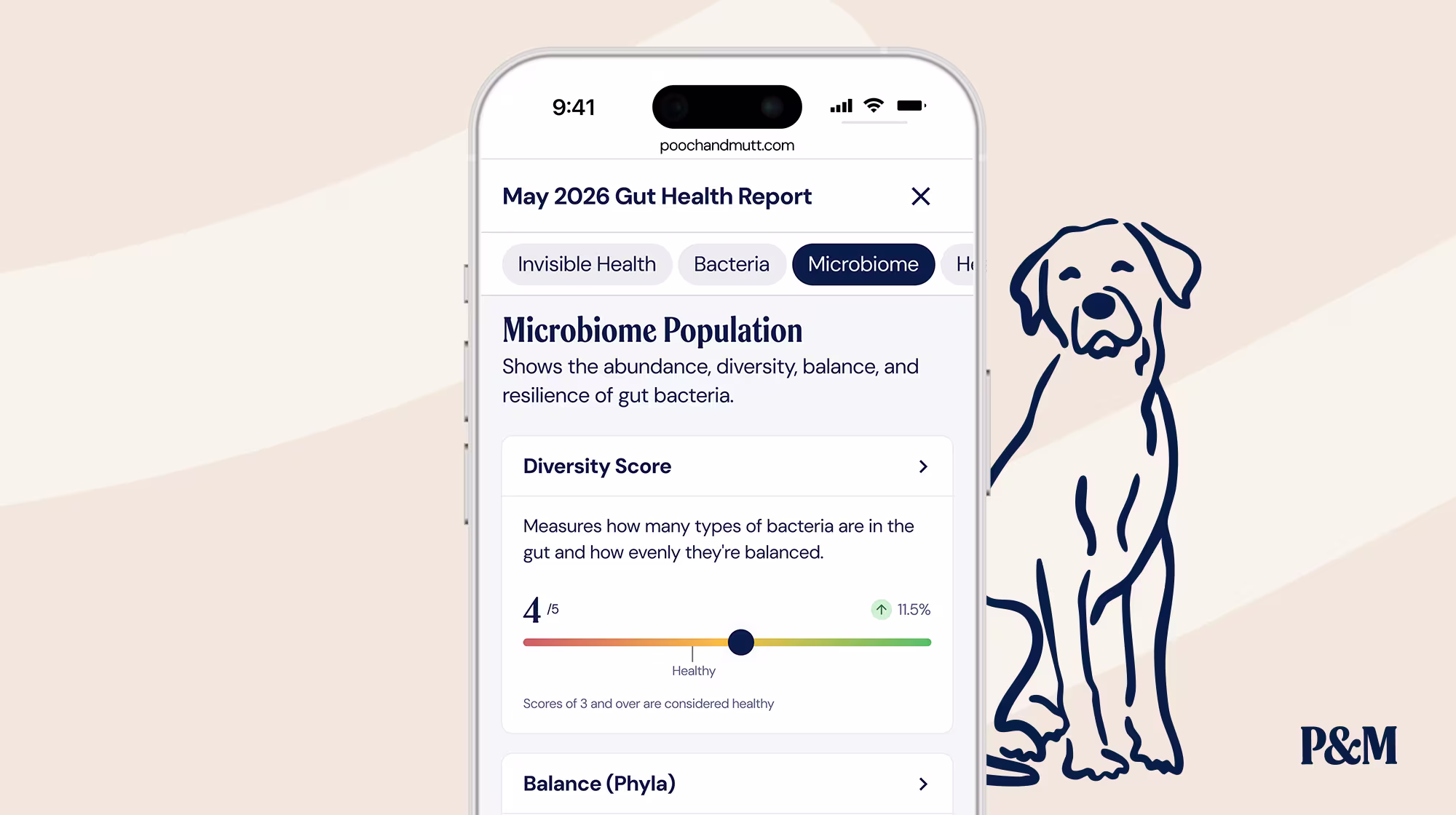 P&M BLOG INFOGRAPHIC GUT HEALTH TEST REPORT EXAMPLE 3