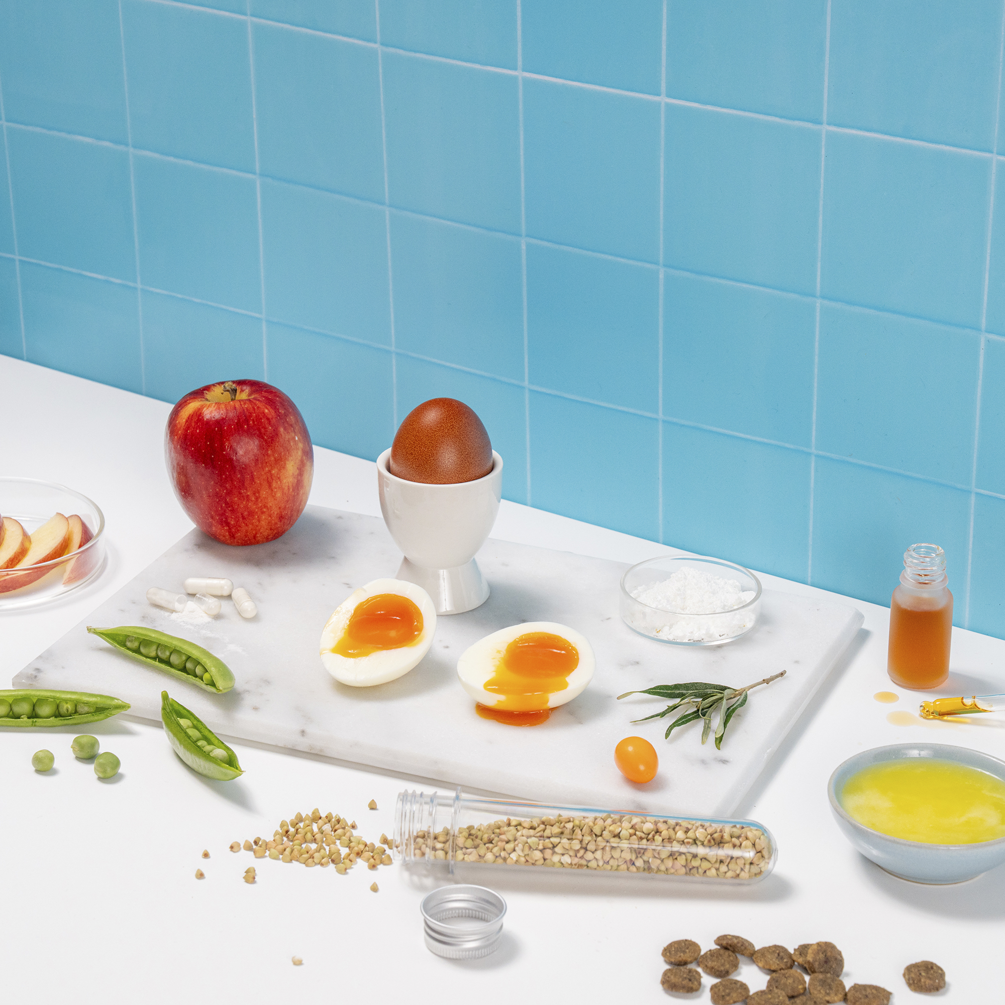 Hepatic Dry Dog Food Ingredients