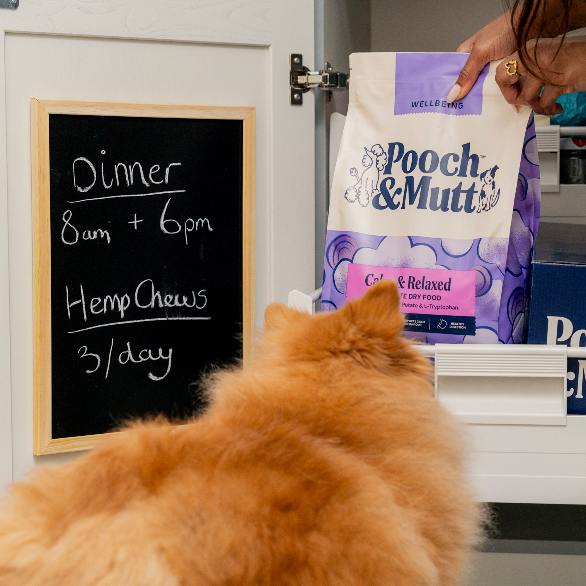 Calm & Relaxed Dry Food FOOD1CALM lifestyle 3