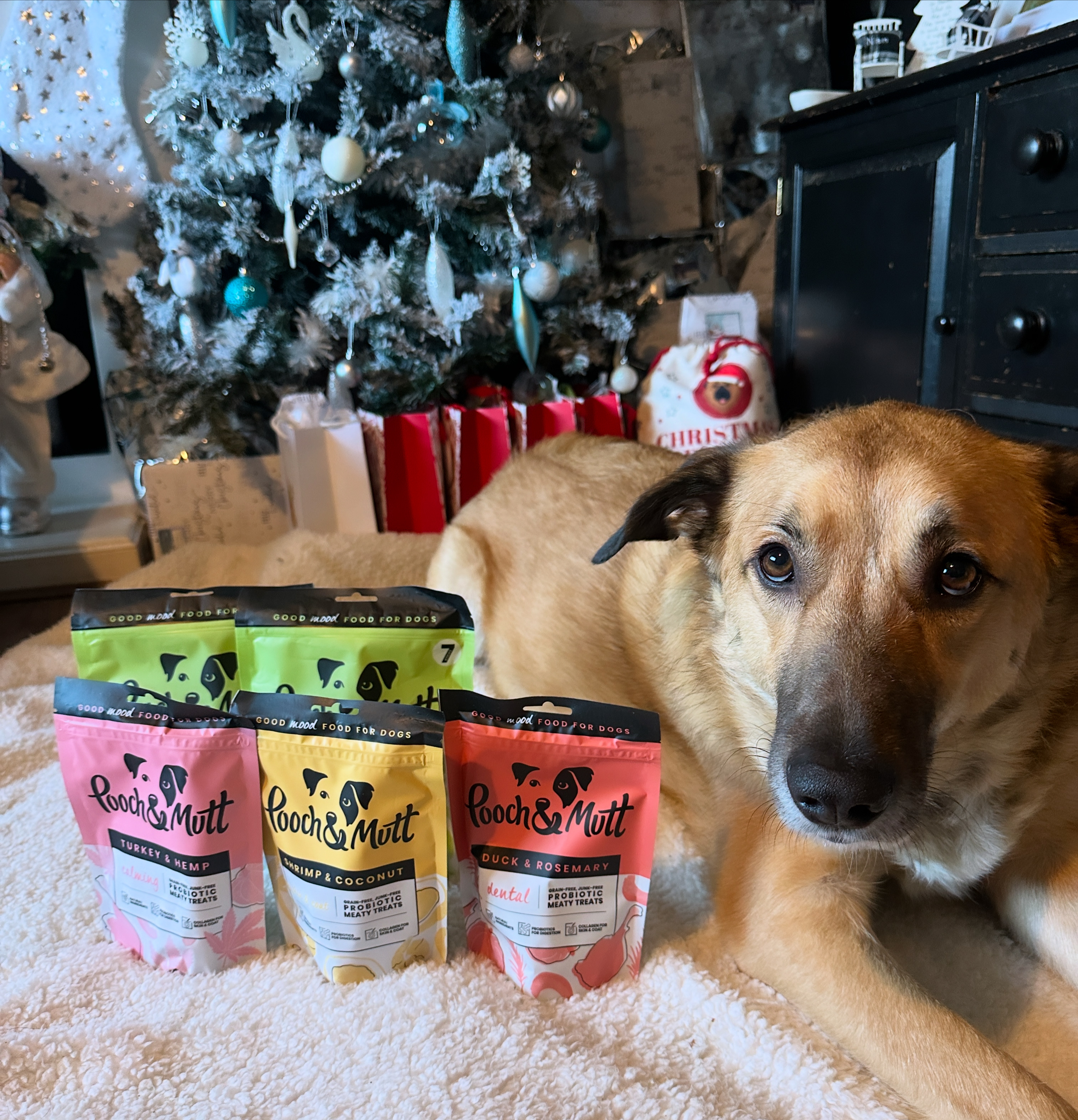 620AF3C7-49BB-4D5E-A420-2891C5CCEC05 - Laura Connolly