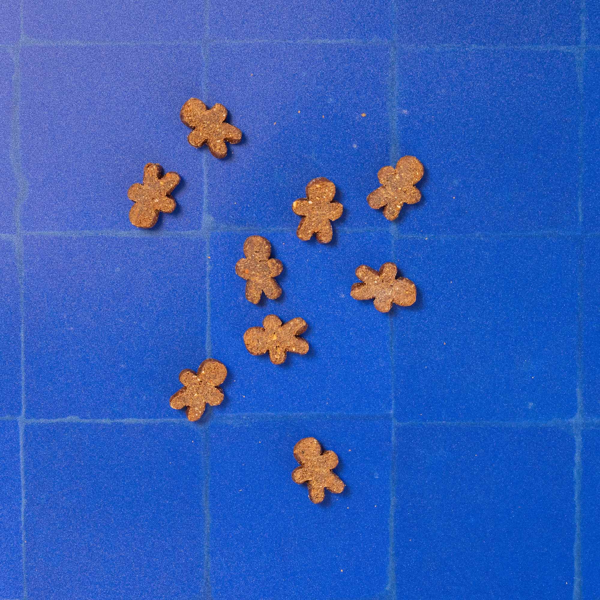 P&M CHRISTMAS ADVENT GINGERBREAD TILE 72dpi