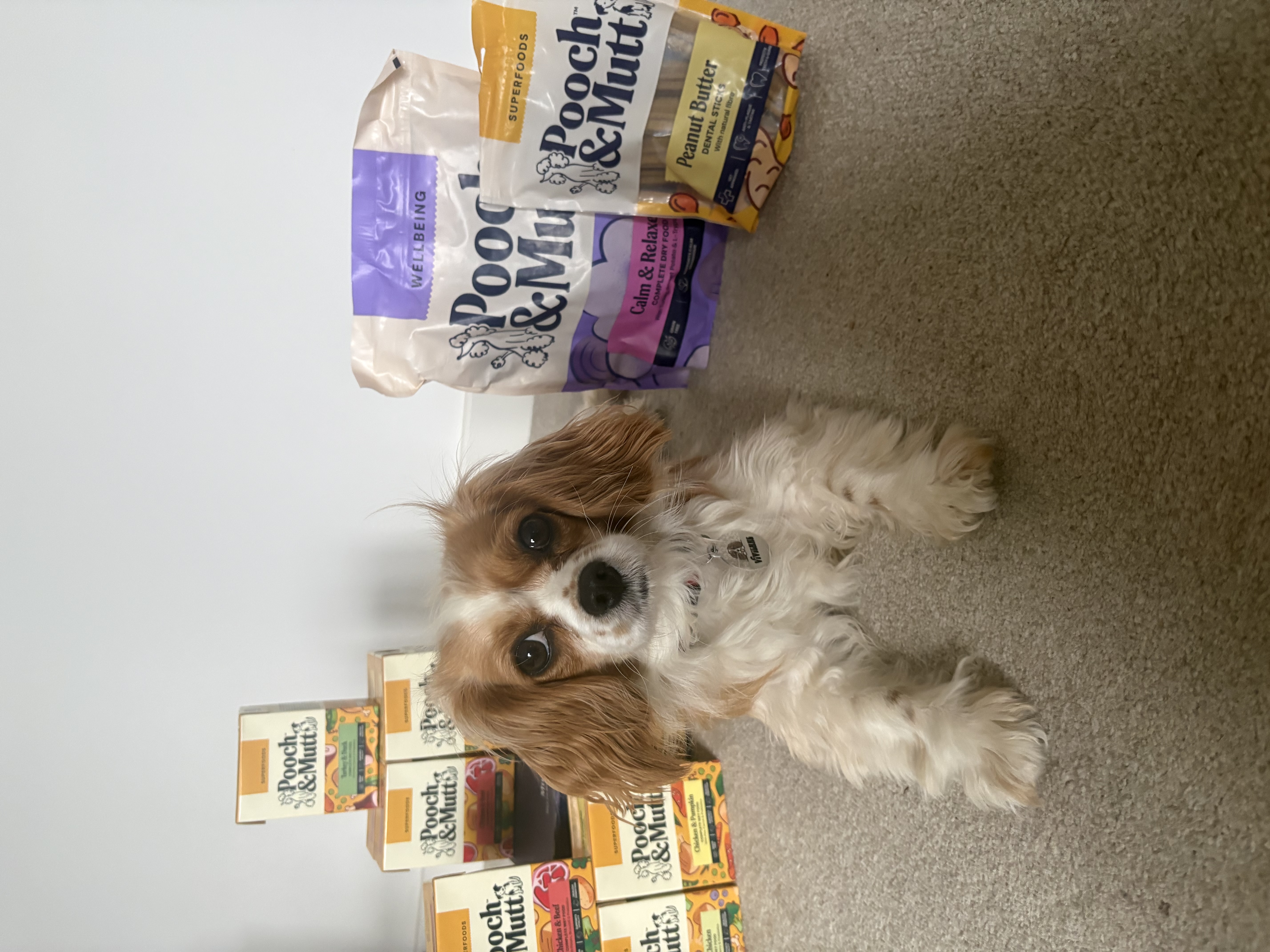 IMG 4094 - Lauren Lonergan