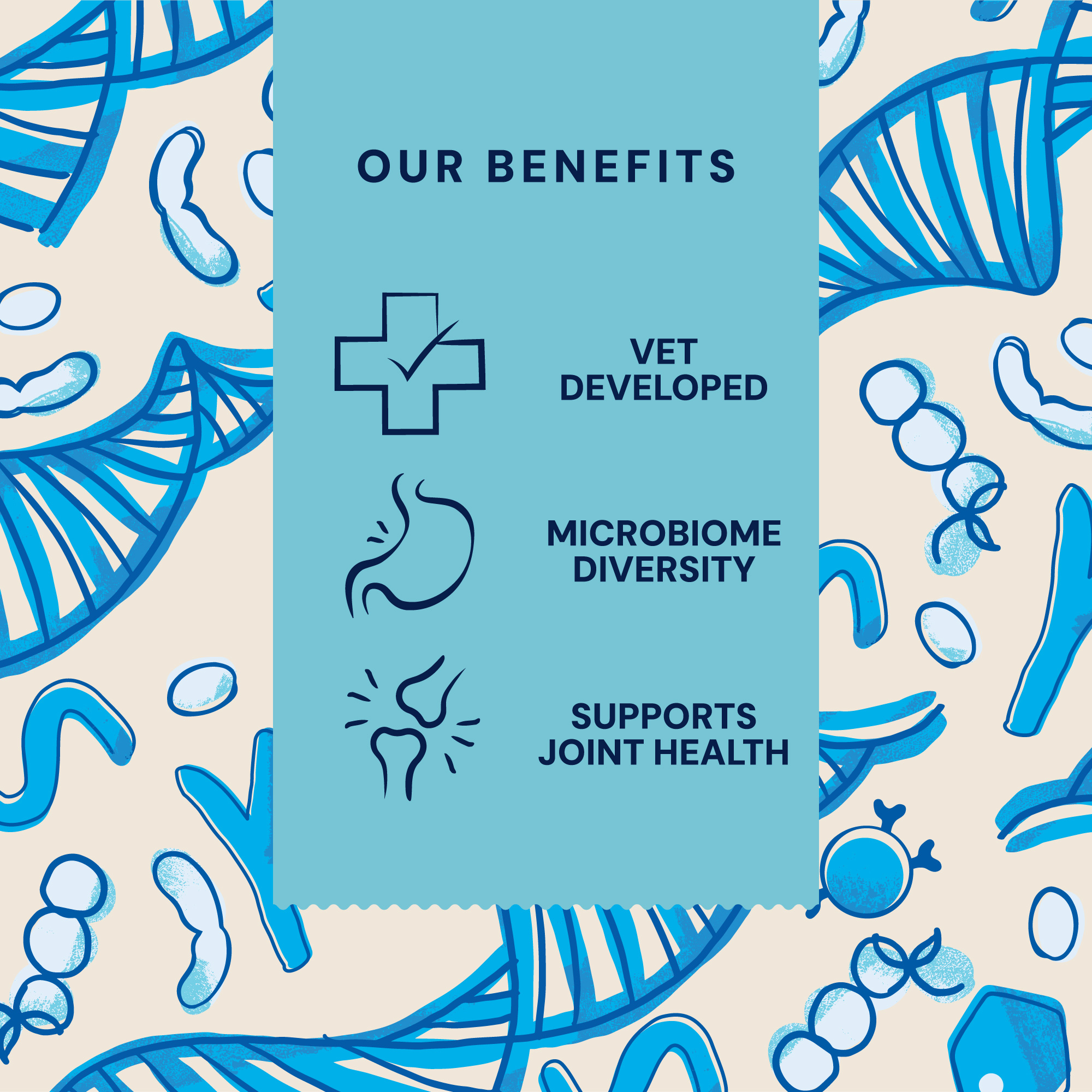 P&M BENEFIT-CARD SUPPLEMENTS VET GUT-JOINT-MATRIX