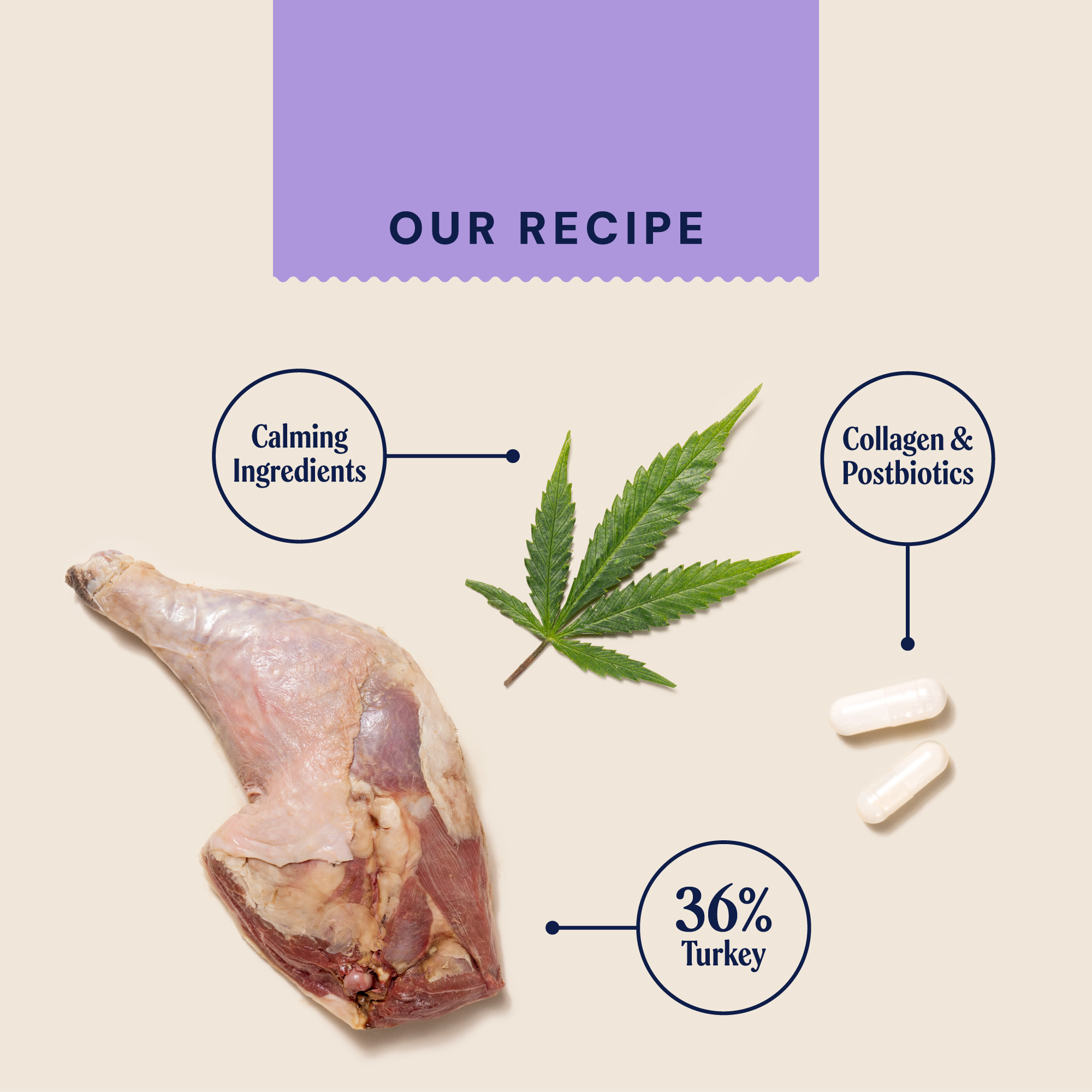 P&M INGREDIENT IMAGE WELLBEING CALM & RELAXED MEATY TREATS