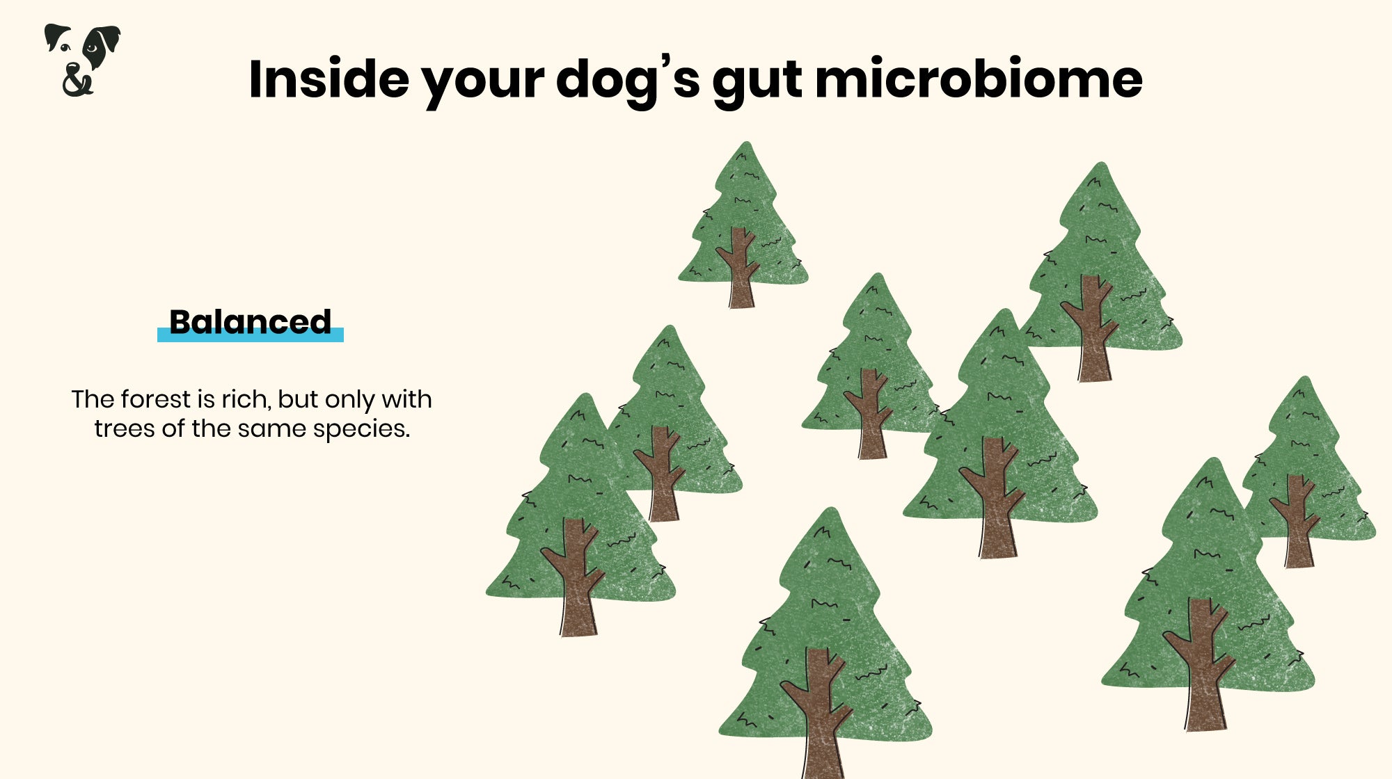 Your dog’s gut health: What is a microbiome?-Image 3