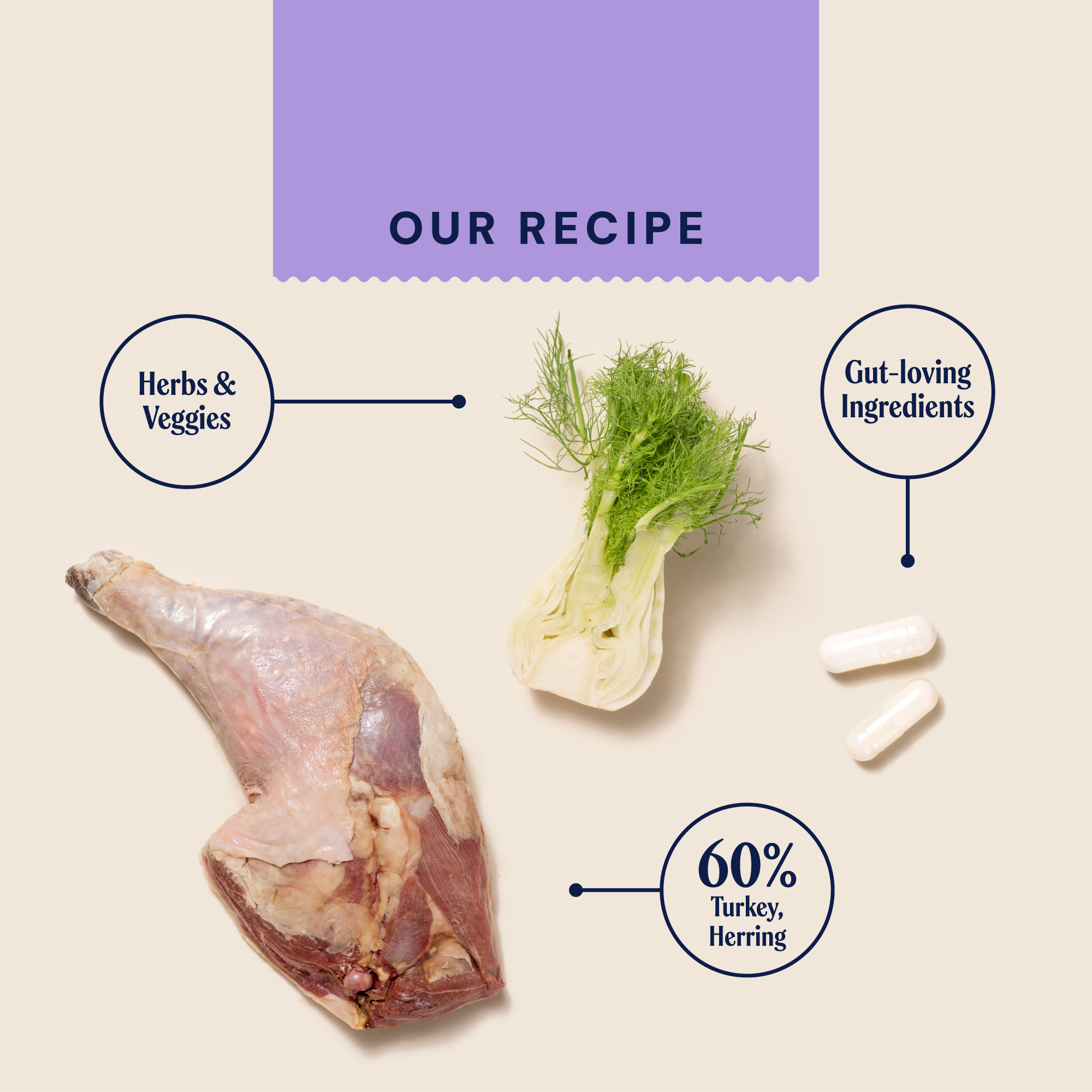 P&M INGREDIENT IMAGE WELLBEING HEALTH & DIGESTION WET FOOD