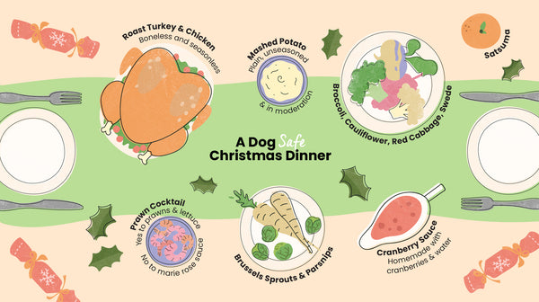 An infographic that shows an illustrated Christmas Dinner table showing what makes a Dog Safe Christmas Dinner. It includes unseasoned and boneless chicken and turkey, deshelled and deveined prawns with lettuce, plain mashed potatoes, parsnips, brussels sprouts, broccoli, swede, cauliflower, plain cranberry sauce, red cabbage and a satsuma. 