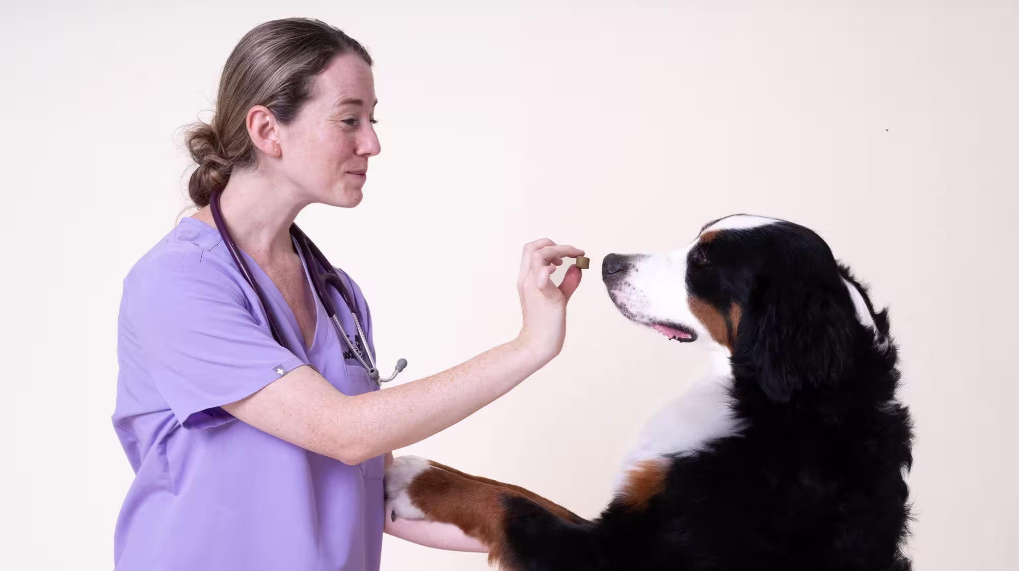 How dogs and mental wellbeing are linked-Image 1