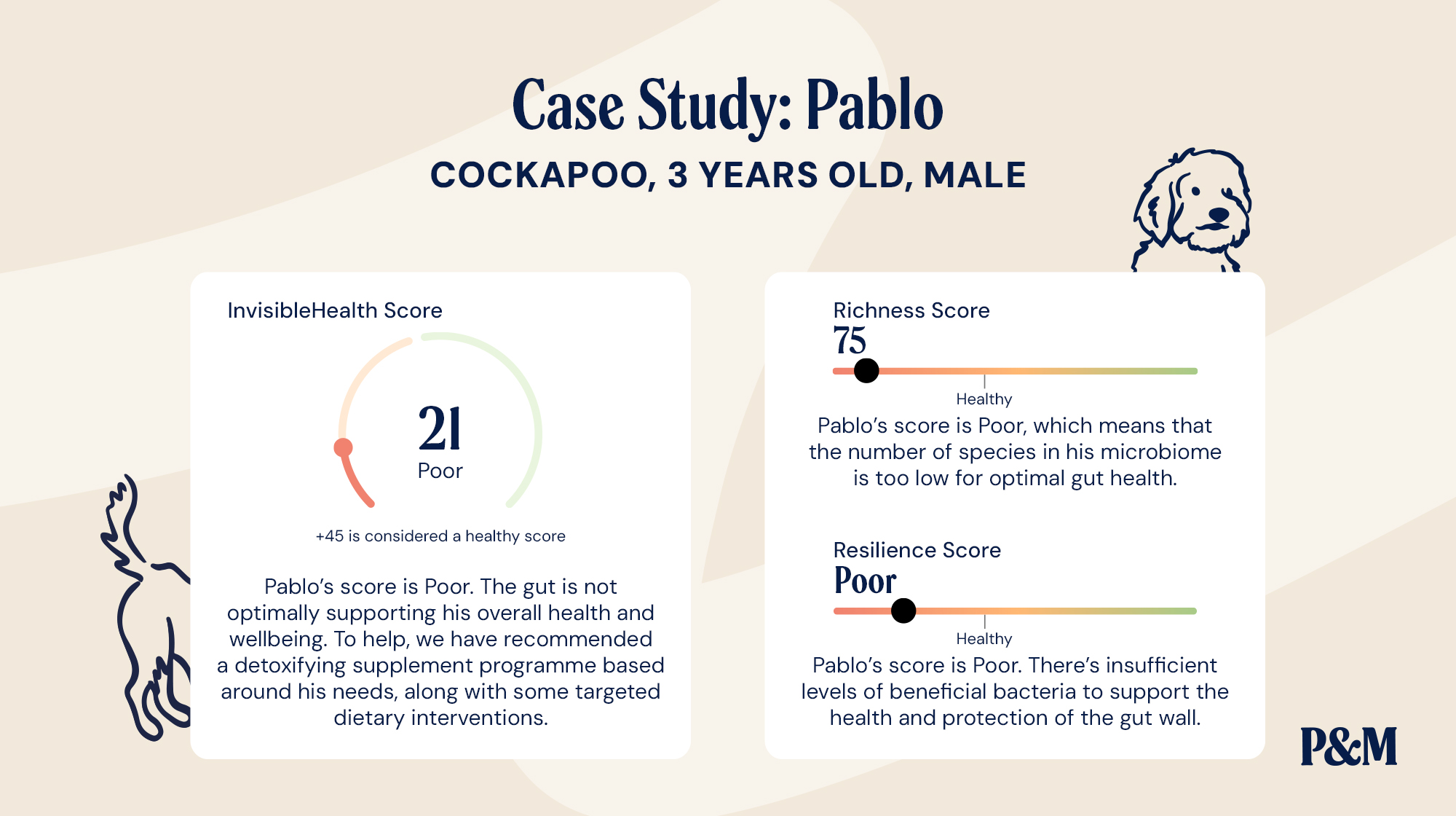 P-26M BLOG INFOGRAPHIC GUT HEALTH CASE STUDIES PABLO (1)