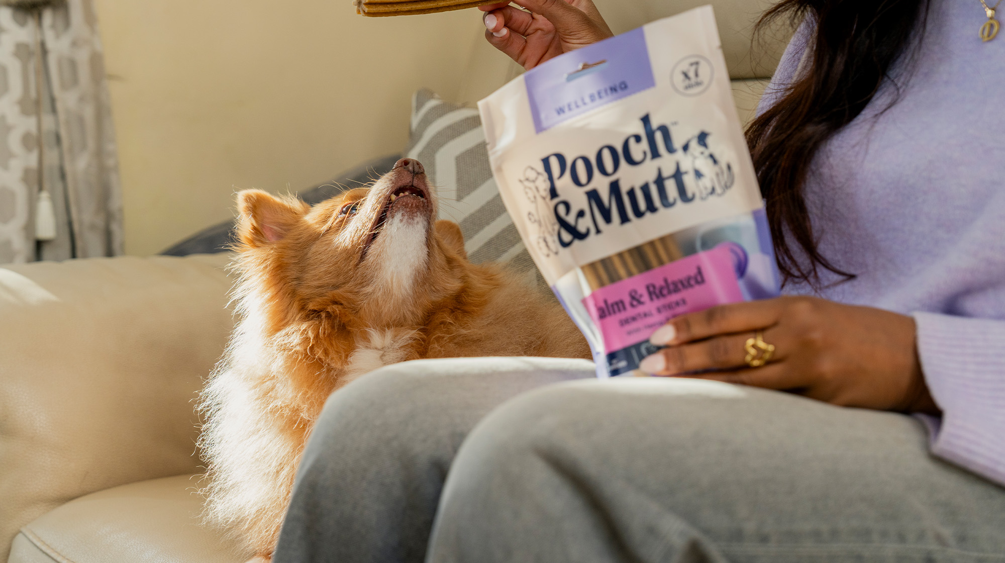 A dog and their owner sit on  the sofa as the owner holds a Pooch & Mutt Calm & Relaxed Dental Stick over the dog's head, and they look up longingly at it.