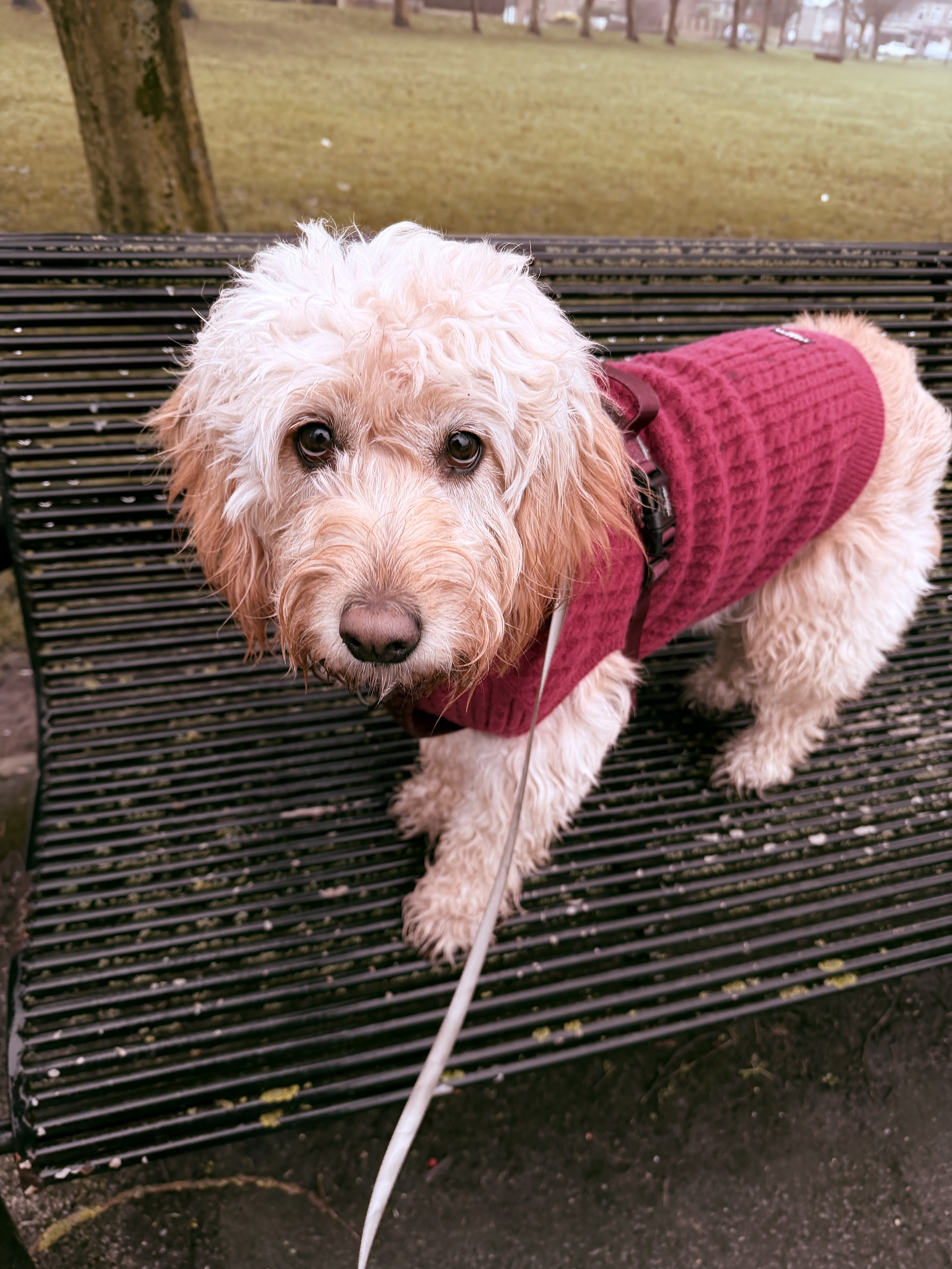 IMG 1704 - Sam Moore