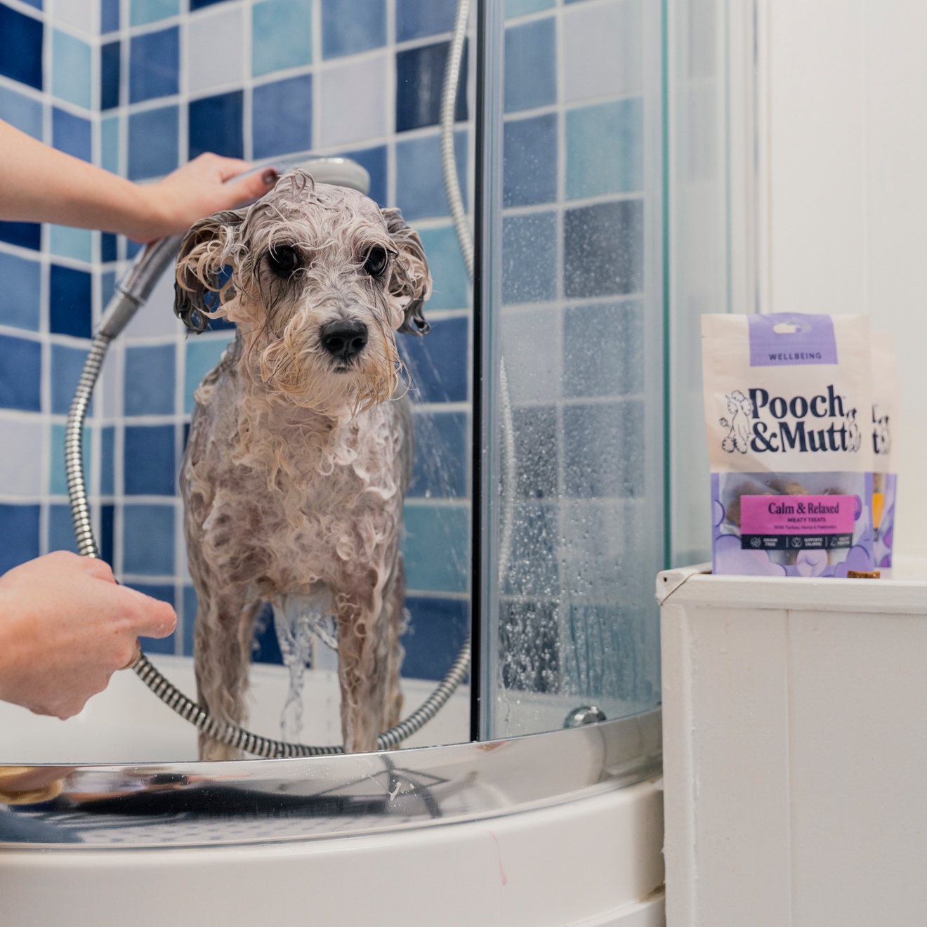 Home Sale-Assets-Hero 1