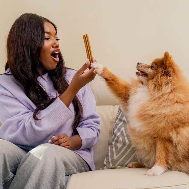 Pooch & Mutt For All Breeds & Needs