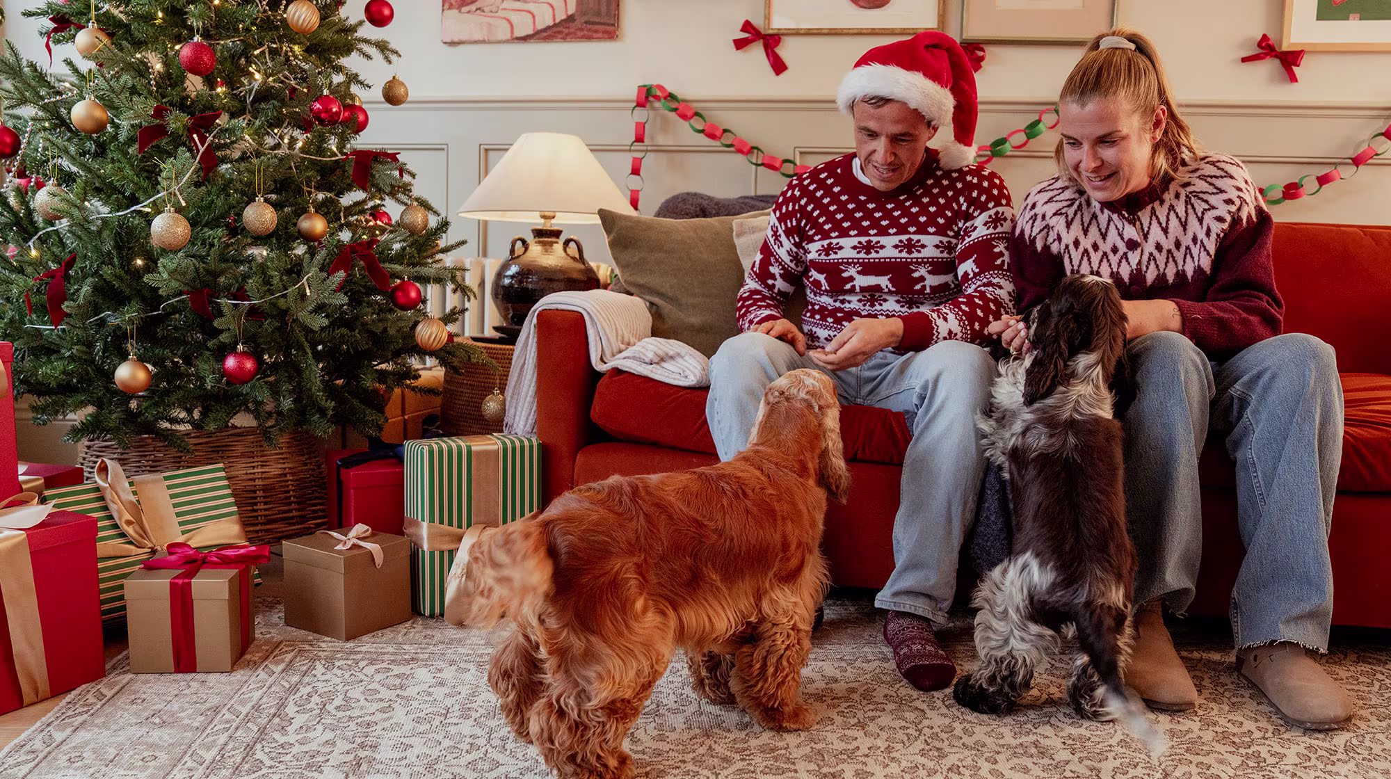BLOG CHRISTMAS CHRISTMAS DAY FAMILY DOGS
