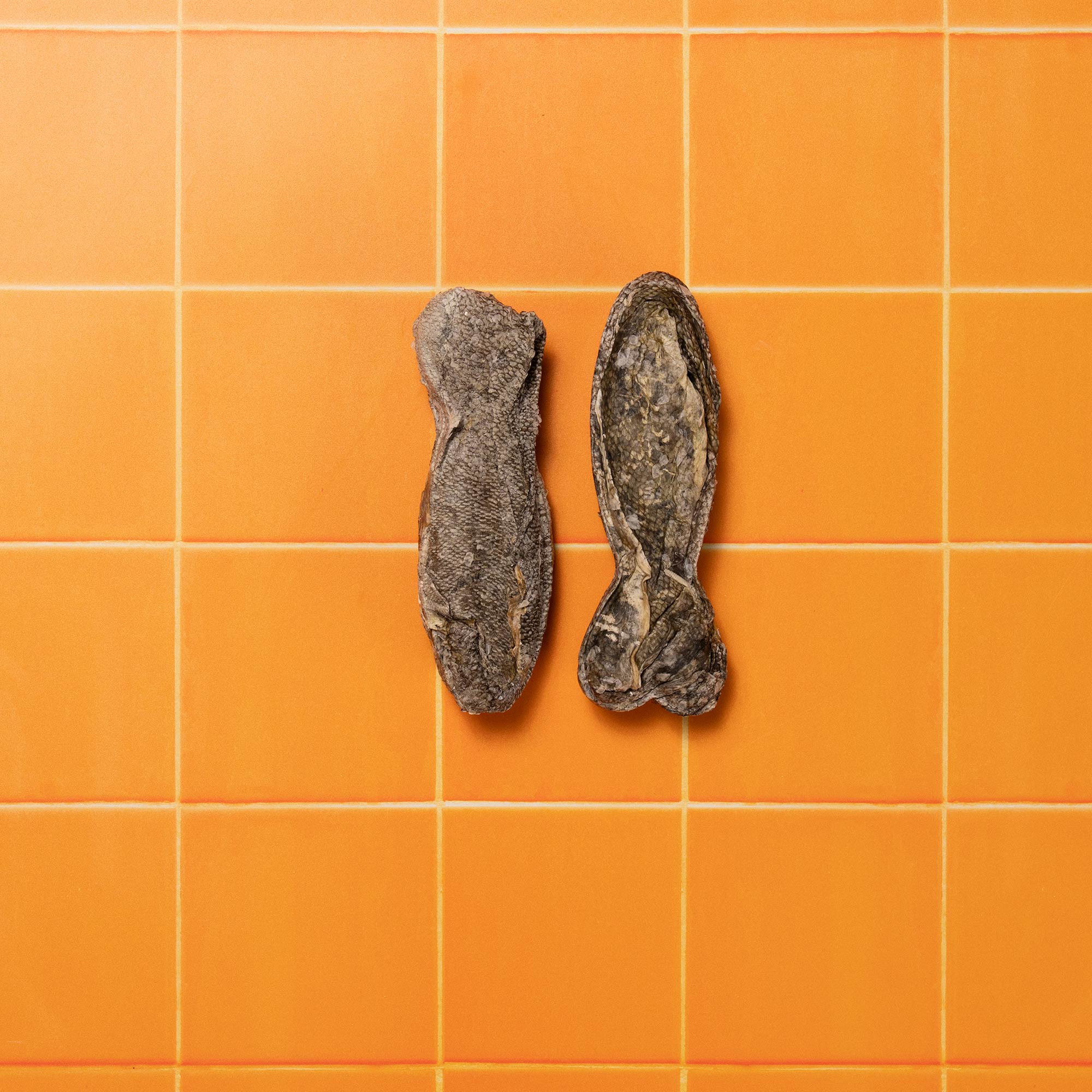 FISH CHEWS ALT PRIMAL P&M REBRAND