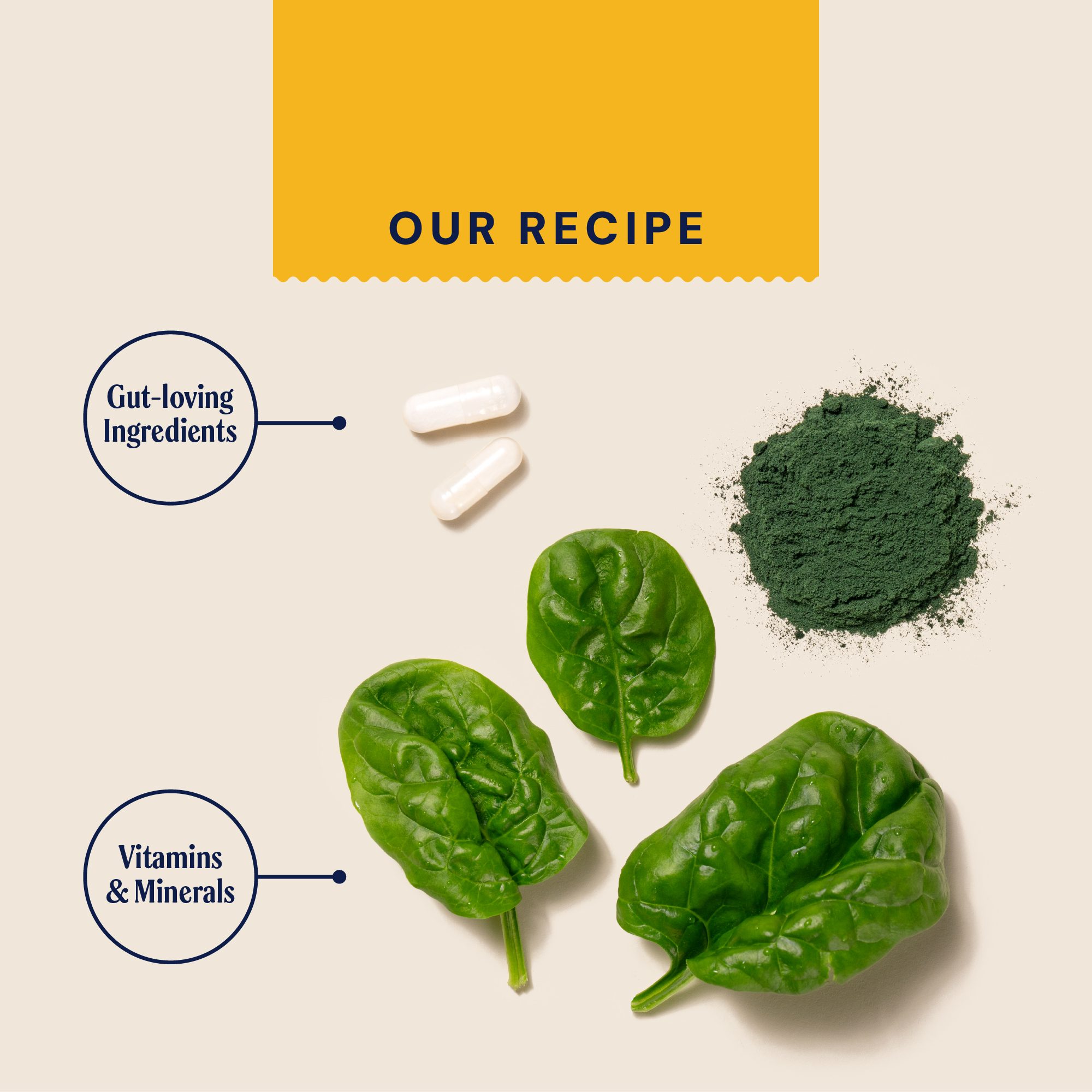 Daily Greens Superfood Dog Supplement