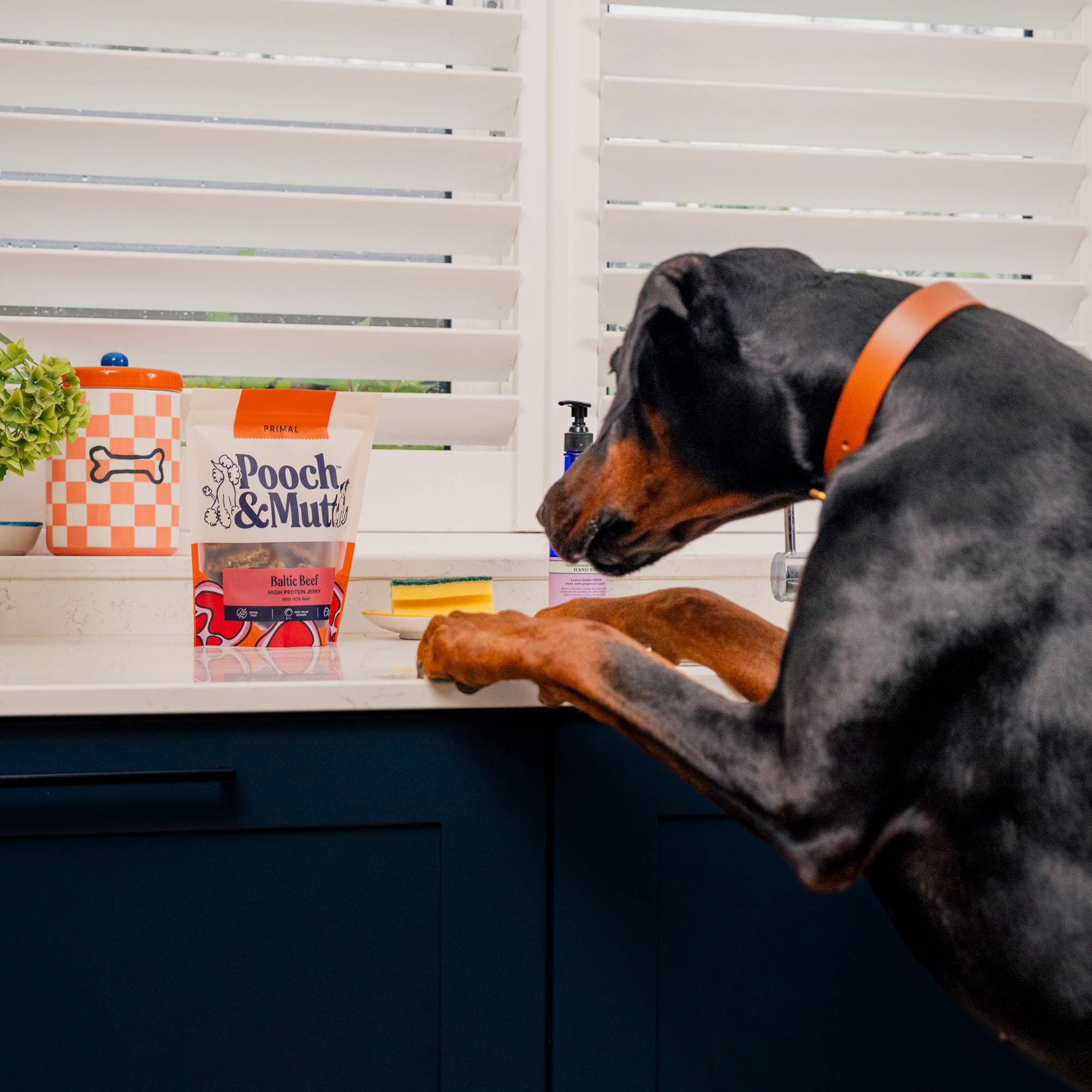 High Protein Beef Jerky JERKBEEF 1 lifestyle