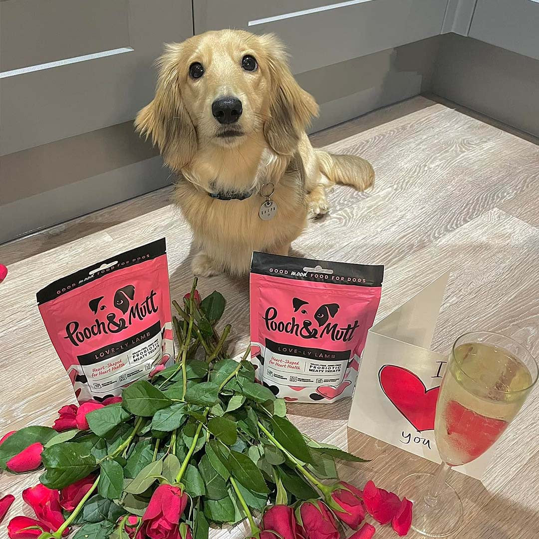 6 reasons to love our Love-ly Lamb Meaty Treats-Image 5