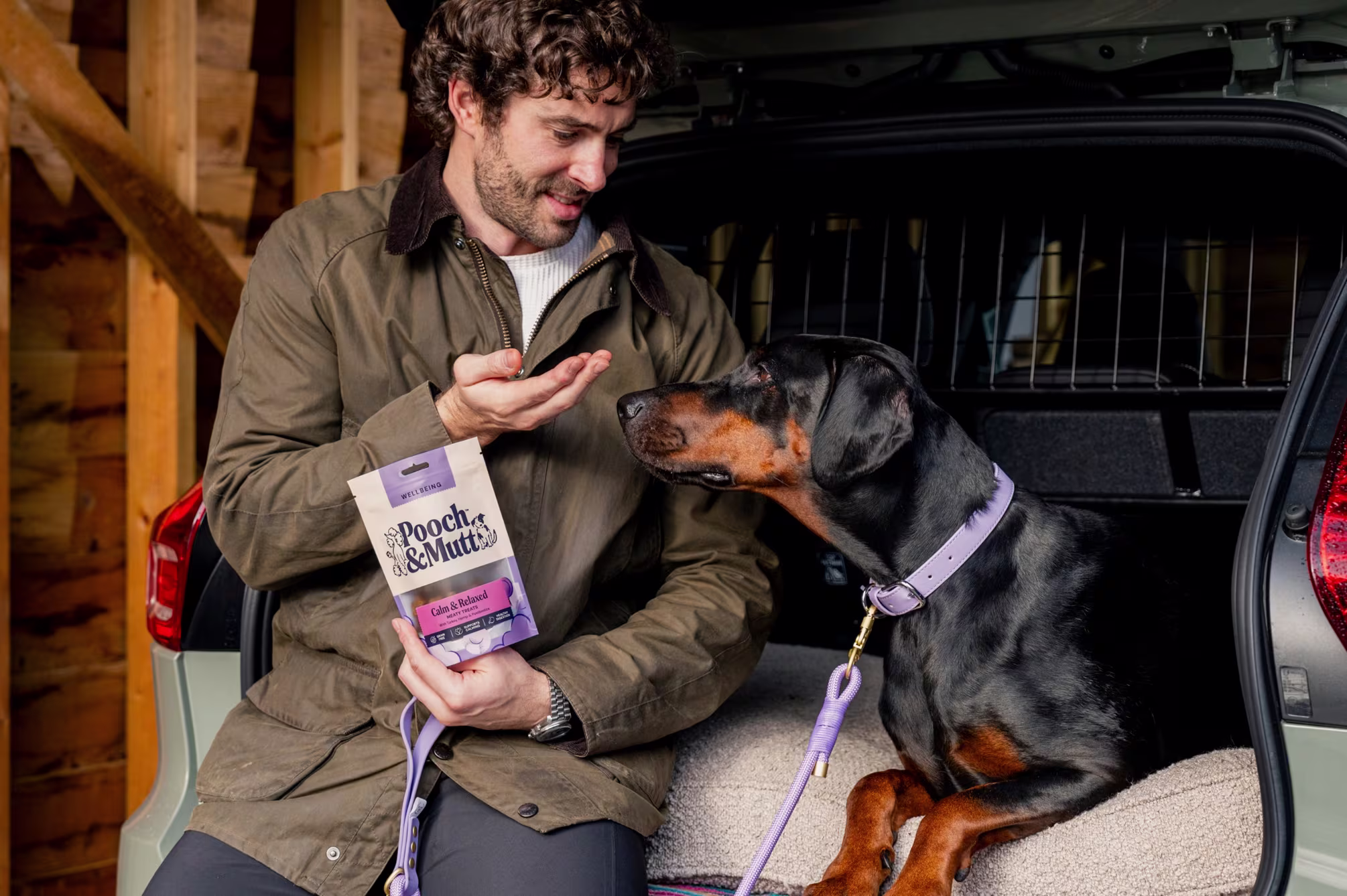 Meaty Treats for Dogs collection banner