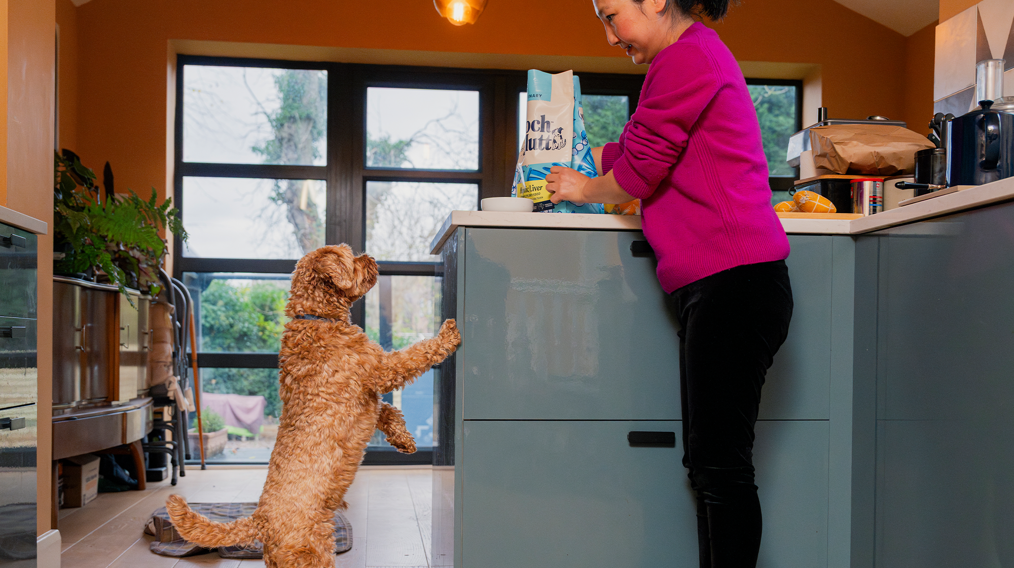 A dog and owner are in their kitchen, the dog has one paw up the side of the cabinet as they long for the food their owner is preparing.