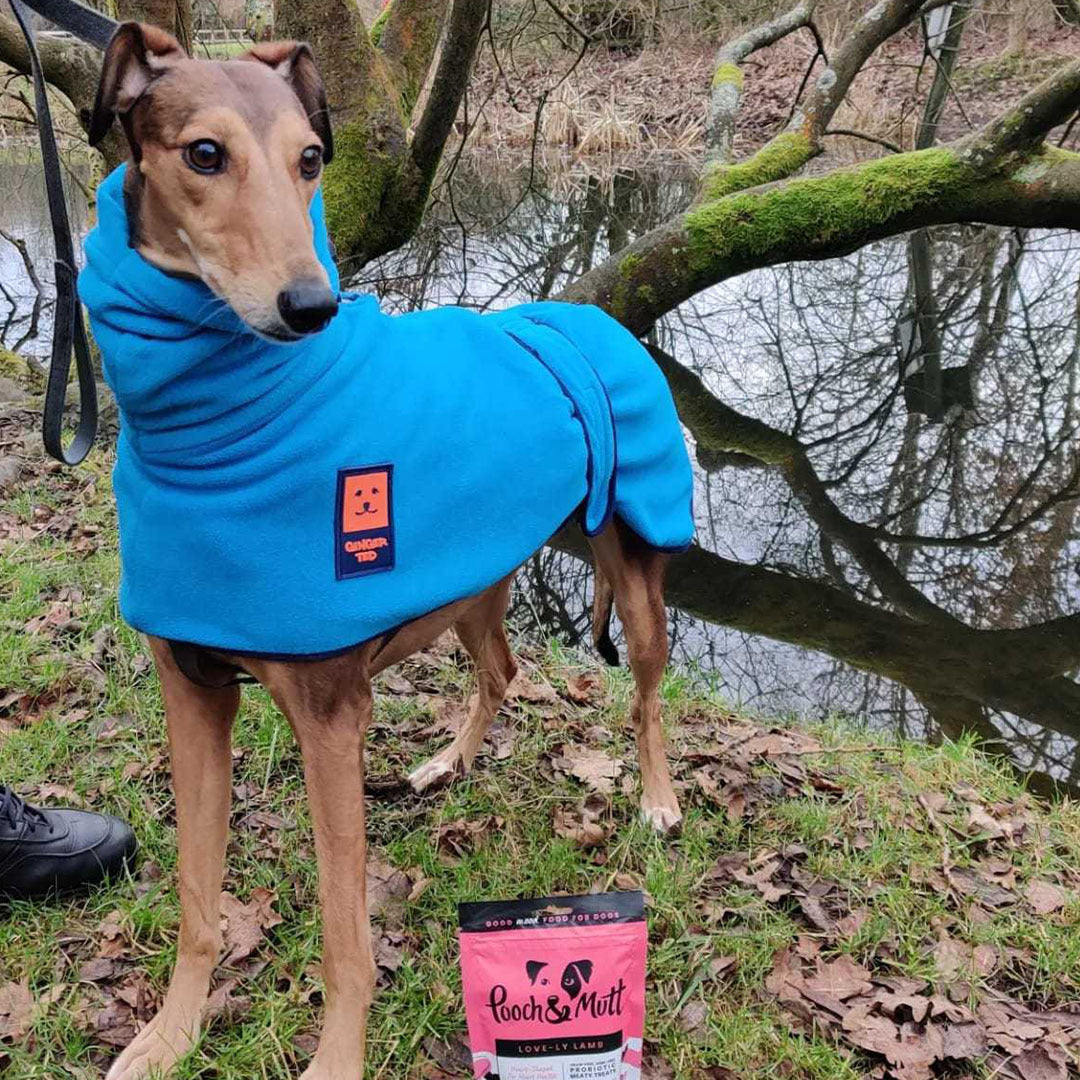 6 reasons to love our Love-ly Lamb Meaty Treats-Image 10