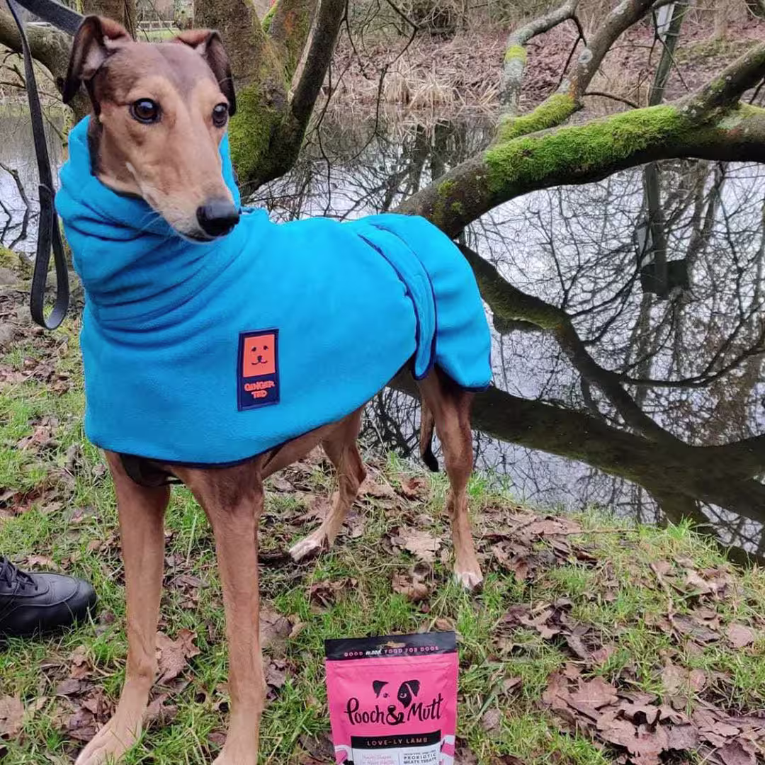 6 reasons to love our Love-ly Lamb Meaty Treats-Image 10