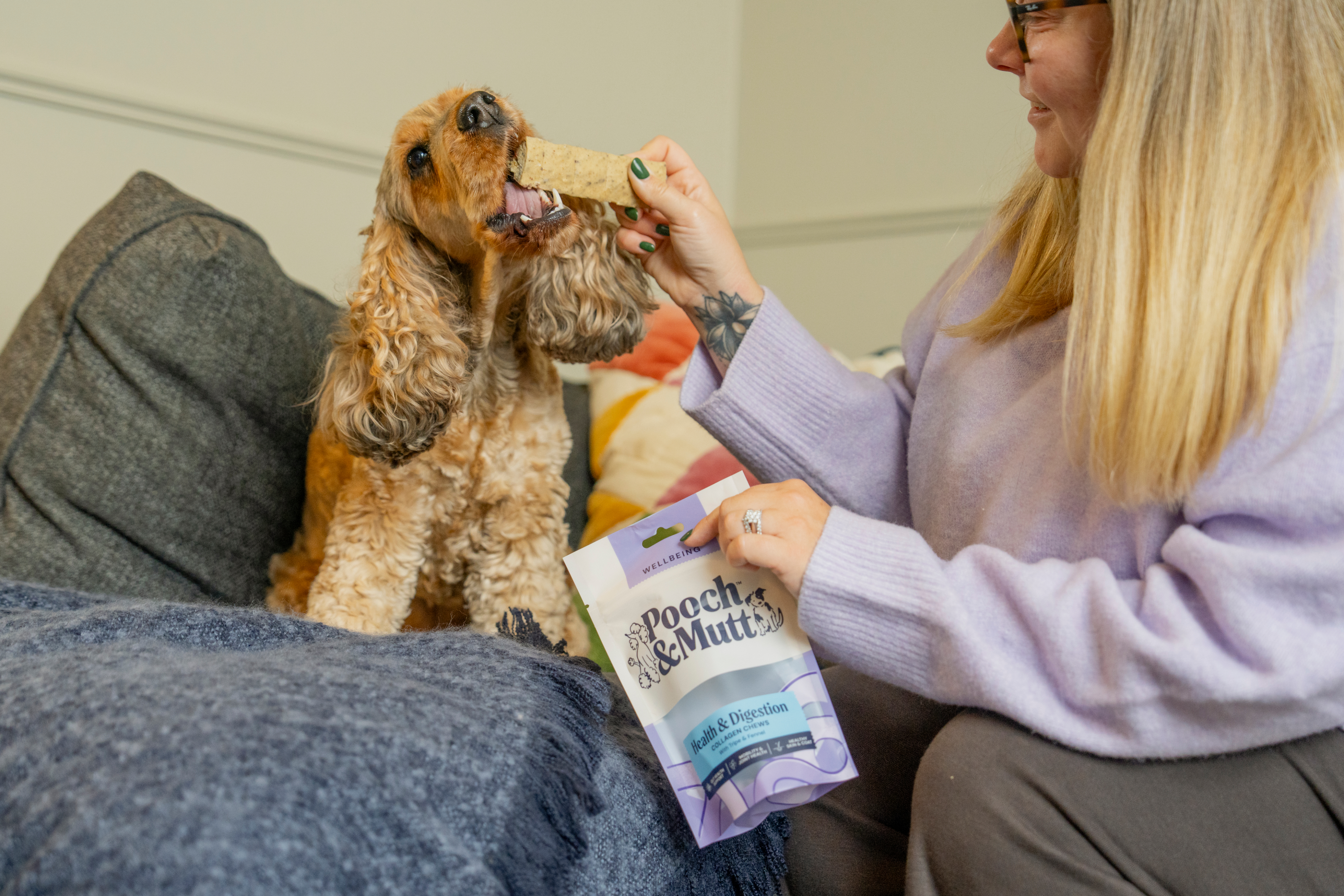 collagen chew hero top left hp