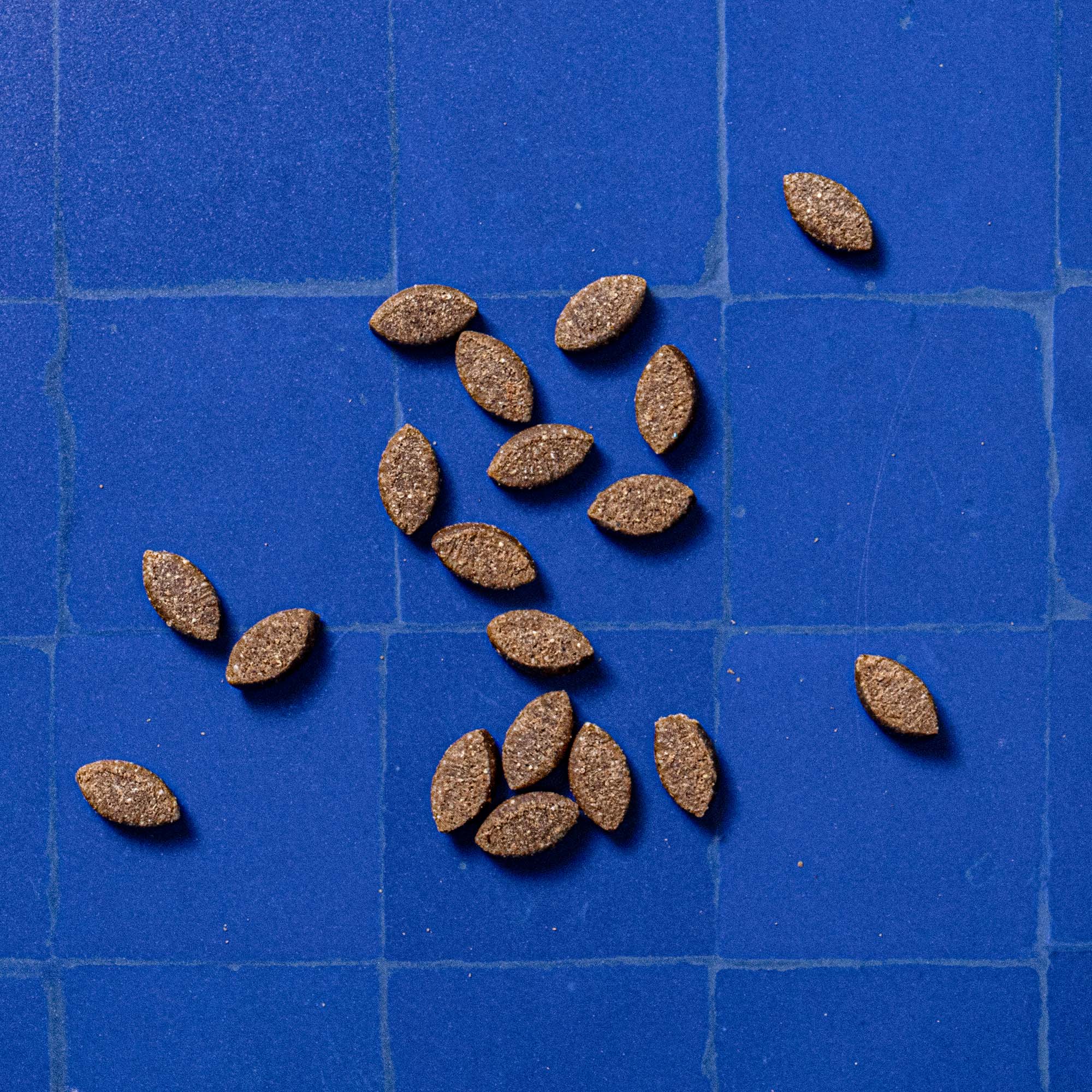 SPRING PICNIC PRODUCT_72dpi.jpg