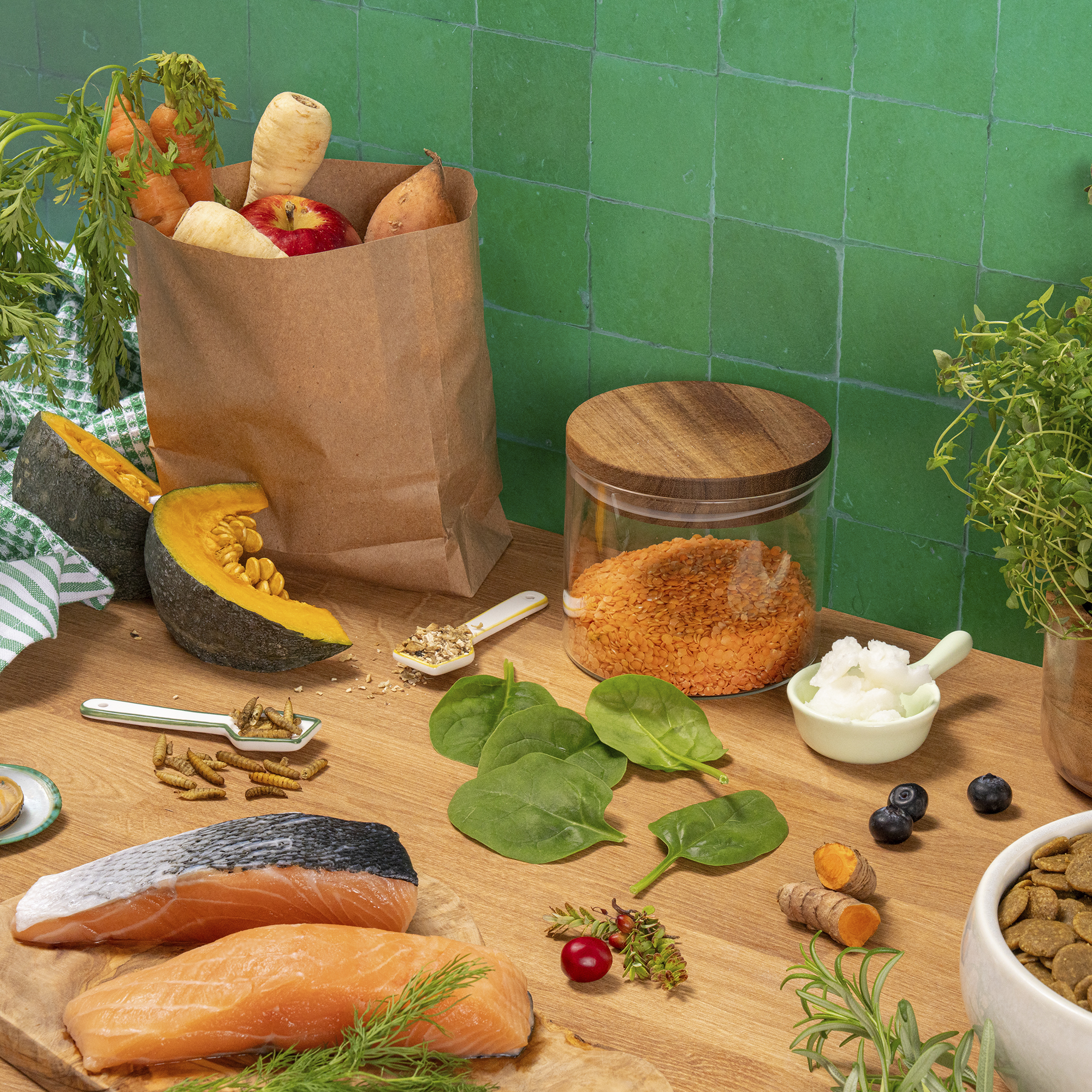 Single Protein Fresh Salmon Dry Food Lifestyle Ingredients