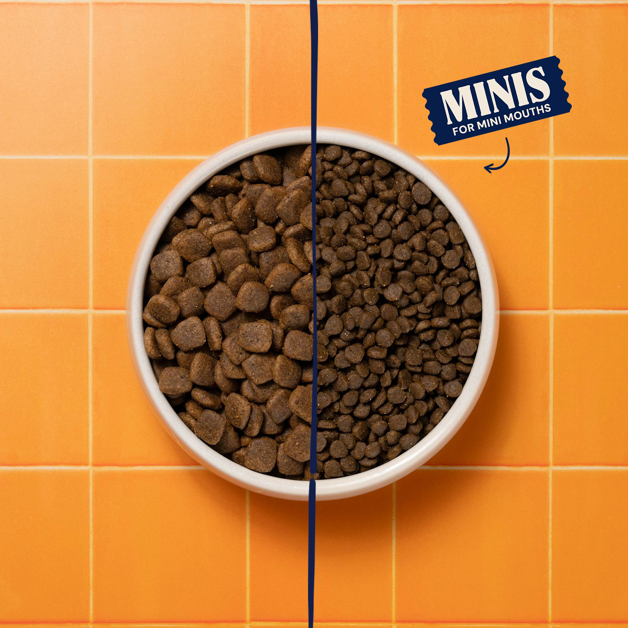 Primal Venison & Lamb High Meat Dry Food