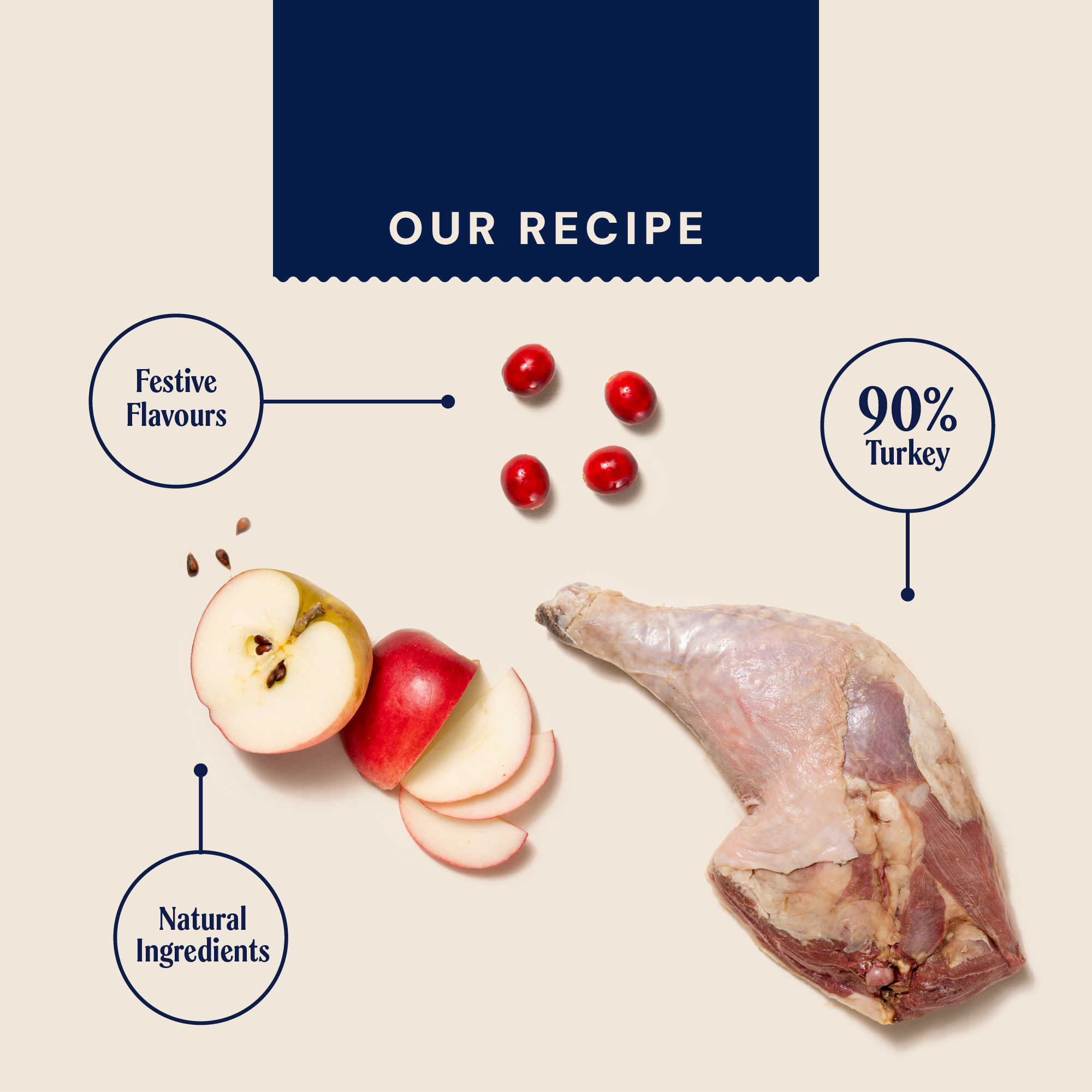 Christmas Turkey & Cranberry Jerky For Dogs 