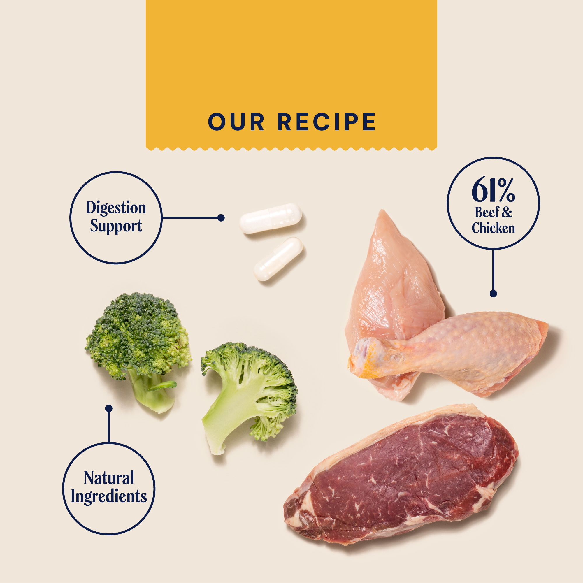 P&M INGREDIENT IMAGE SUPERFOODS CHICKEN & BEEF WET FOOD