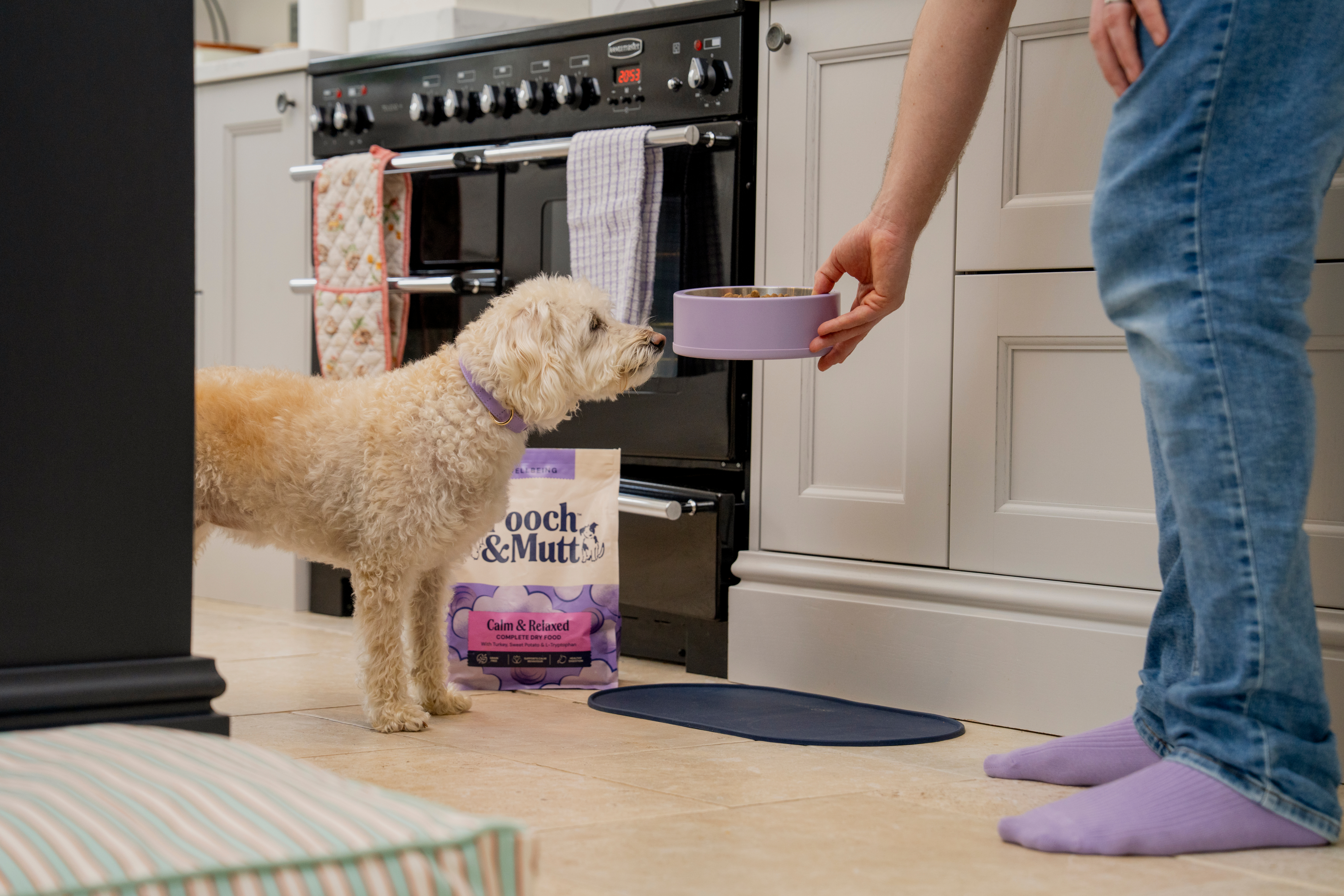 dog being served calm and relaxed food