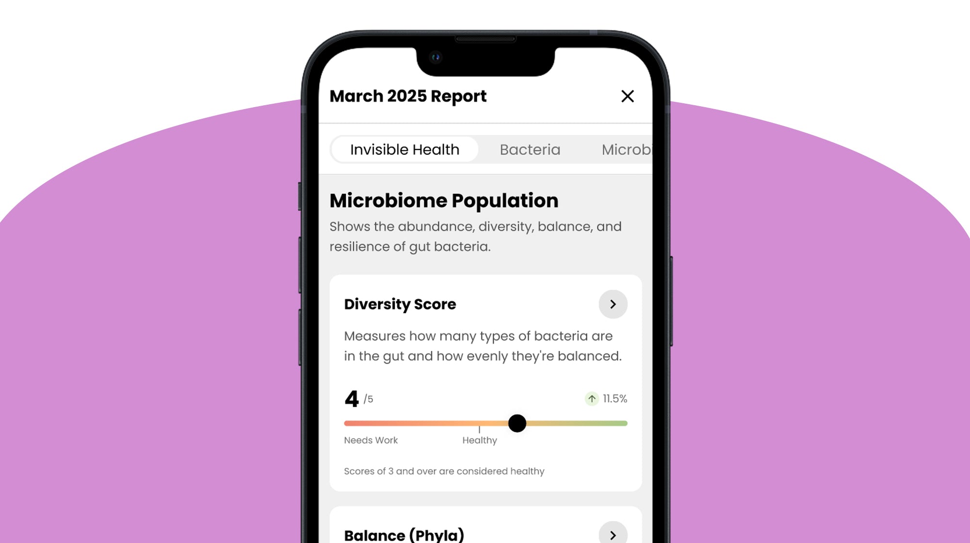 What does a dog gut health test tell you about your dog?-Image 6