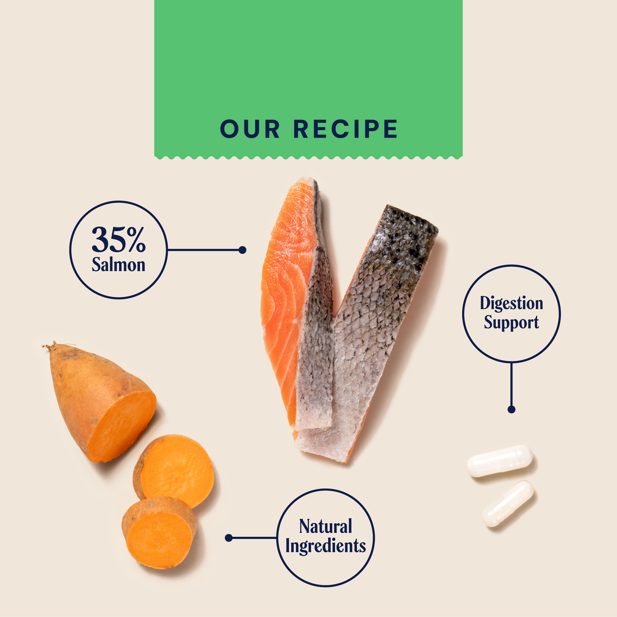 P&M INGREDIENT-IMAGE FRESH SALMON