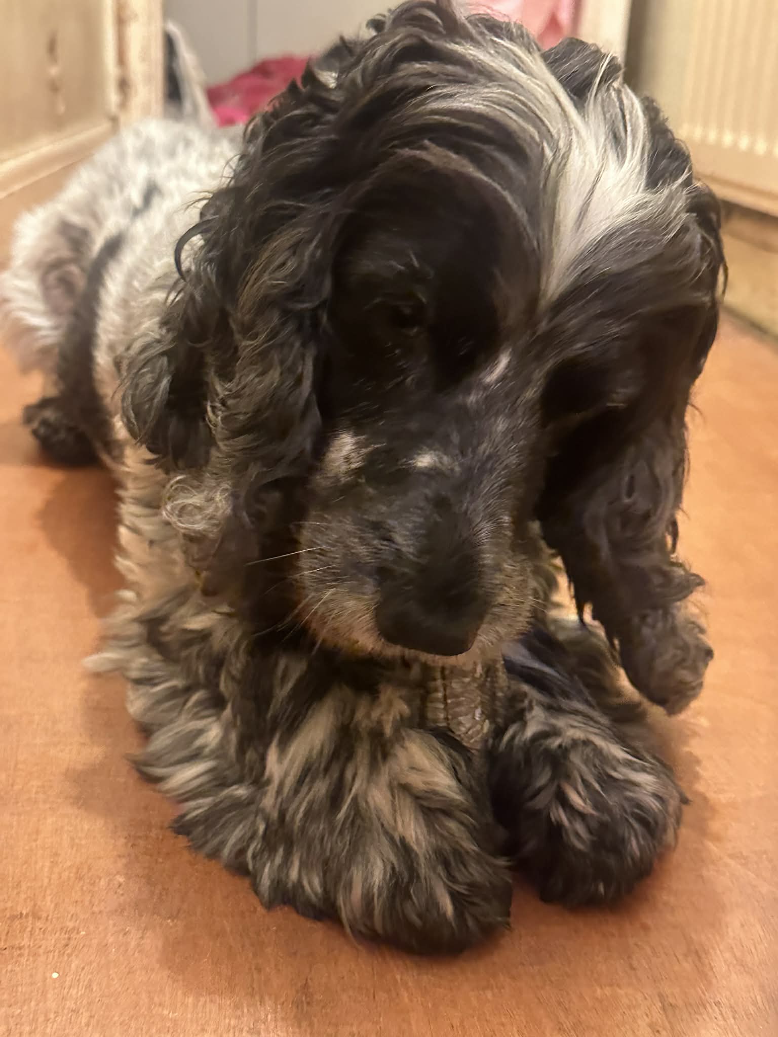 att.LNGE2yC0 VnjDh9uQ T fRmFdyIREojN9f73JXay7Xg - d d