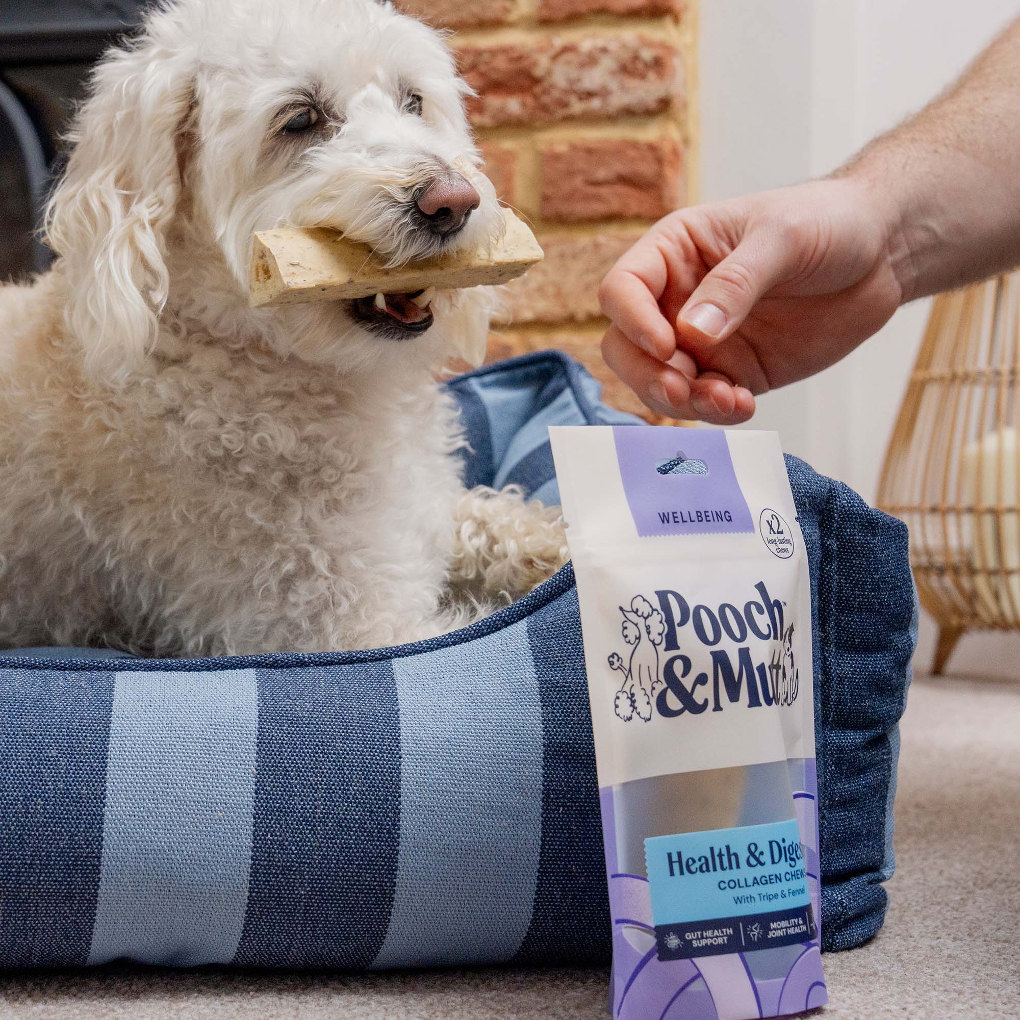 WELLBEING COLLAGEN CHEWS HEALTH & DIGESTION 110g Lifestyle 1