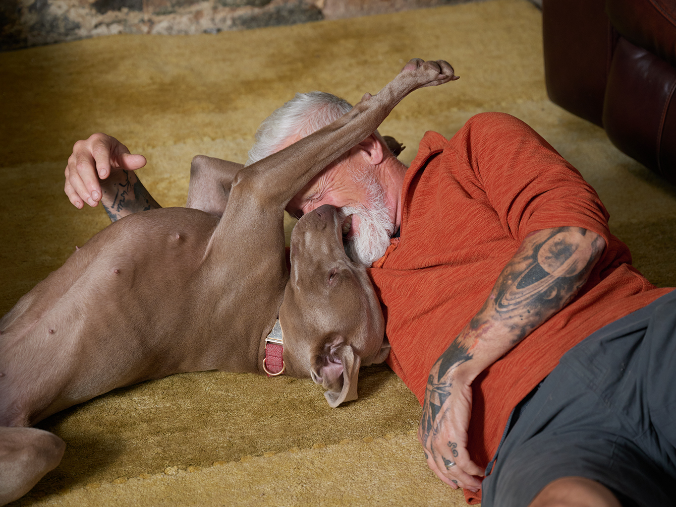 For All Breeds & Needs