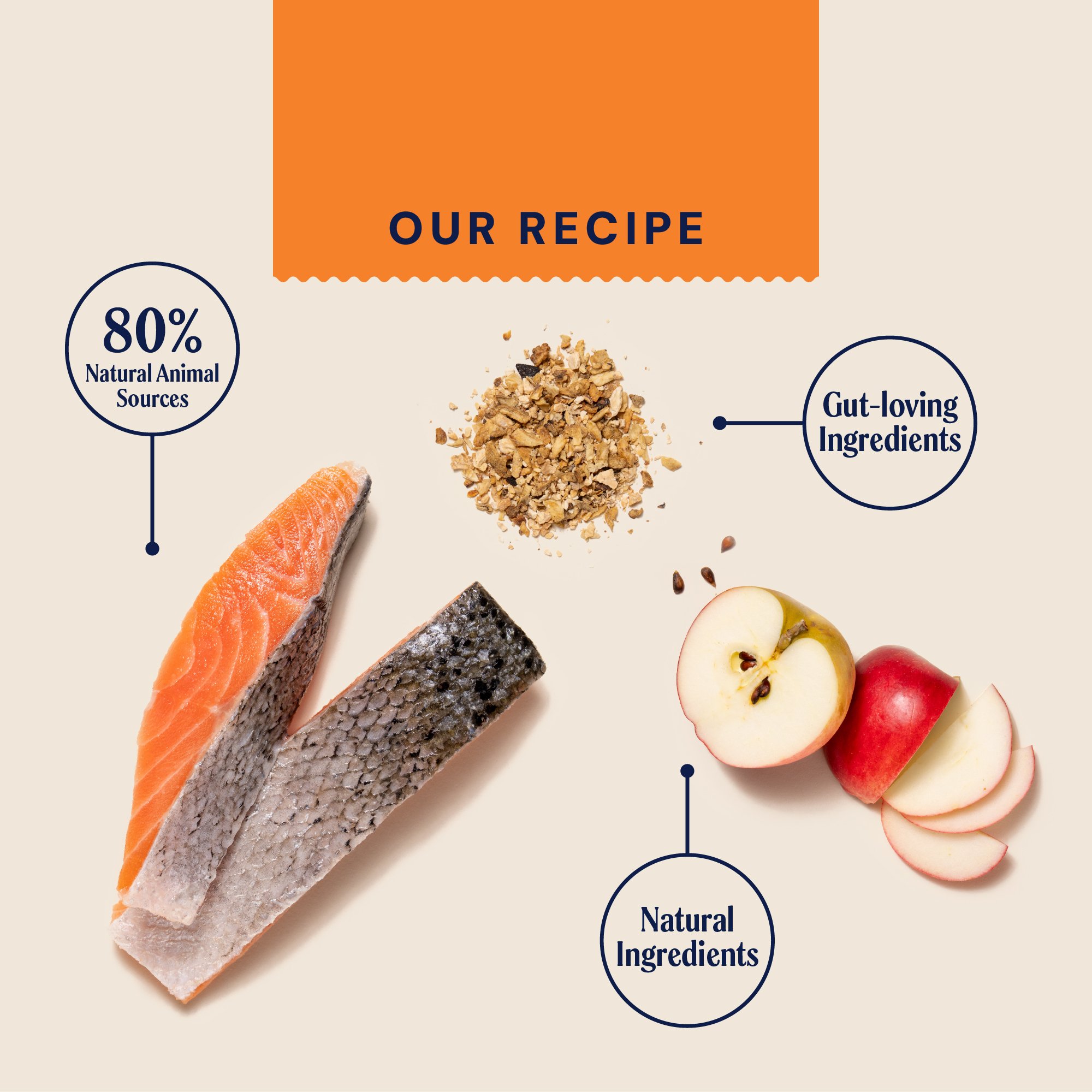 Primal Salmon Wet Cat Food