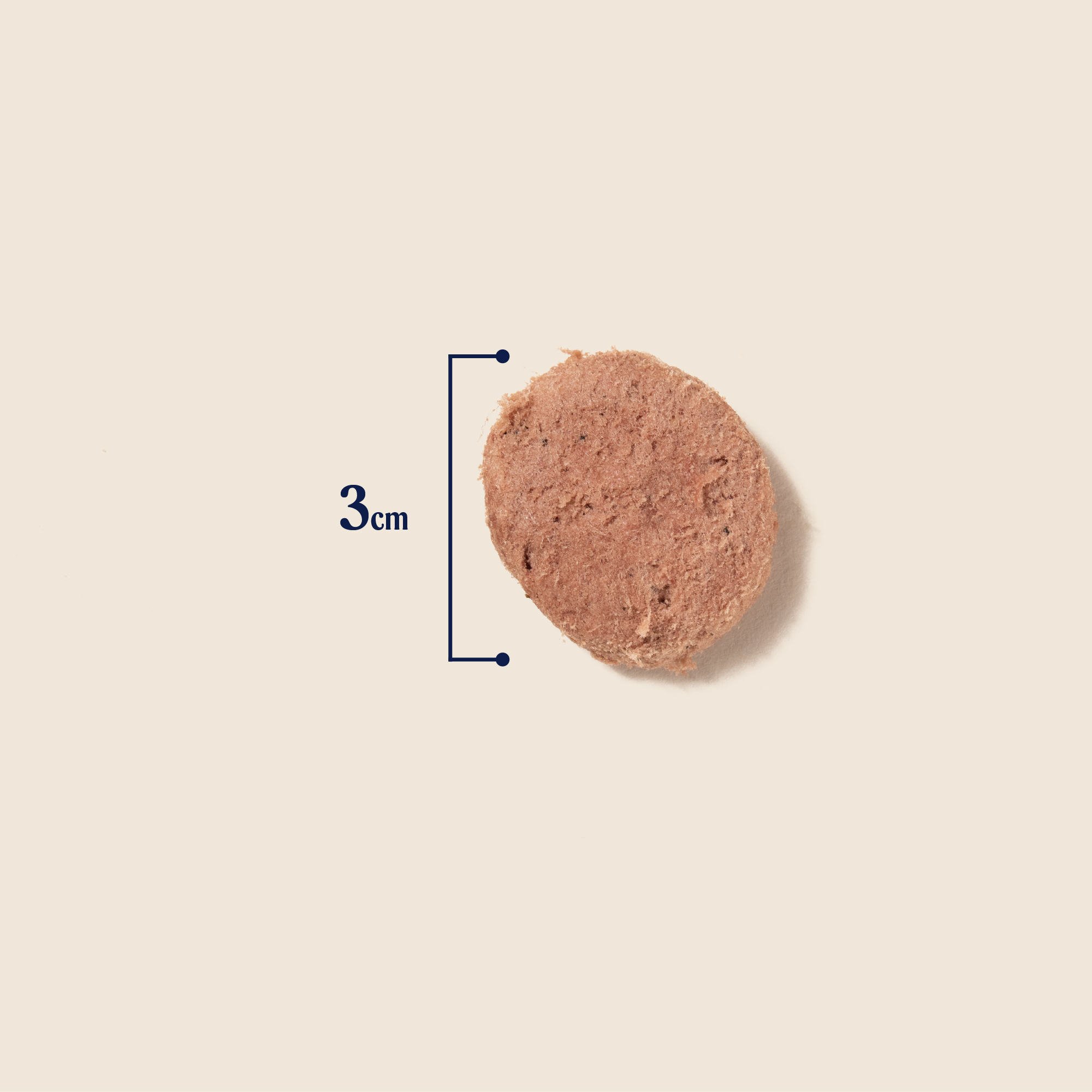 P&M SIZE FREEZE DRIED TREATS RAW TURKEY & SALMON